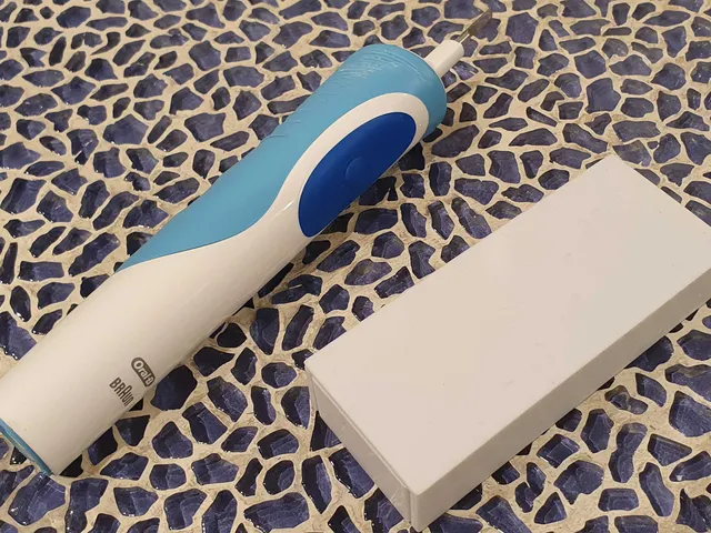 New dual OralB toothbrush travel case