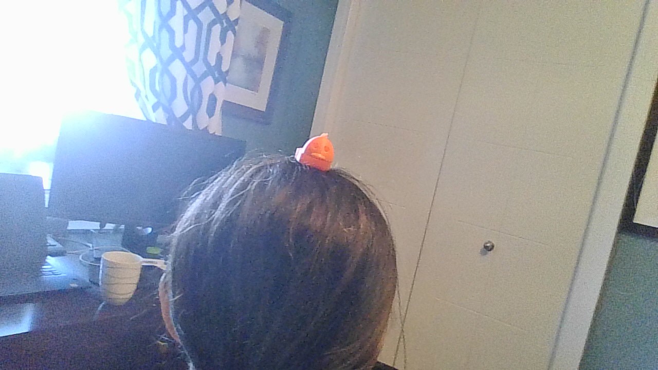 articulating duck — thumbnail 5