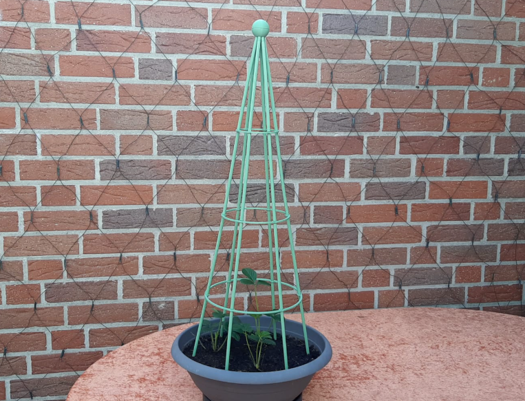 Plant Support Pyramide (screwed)