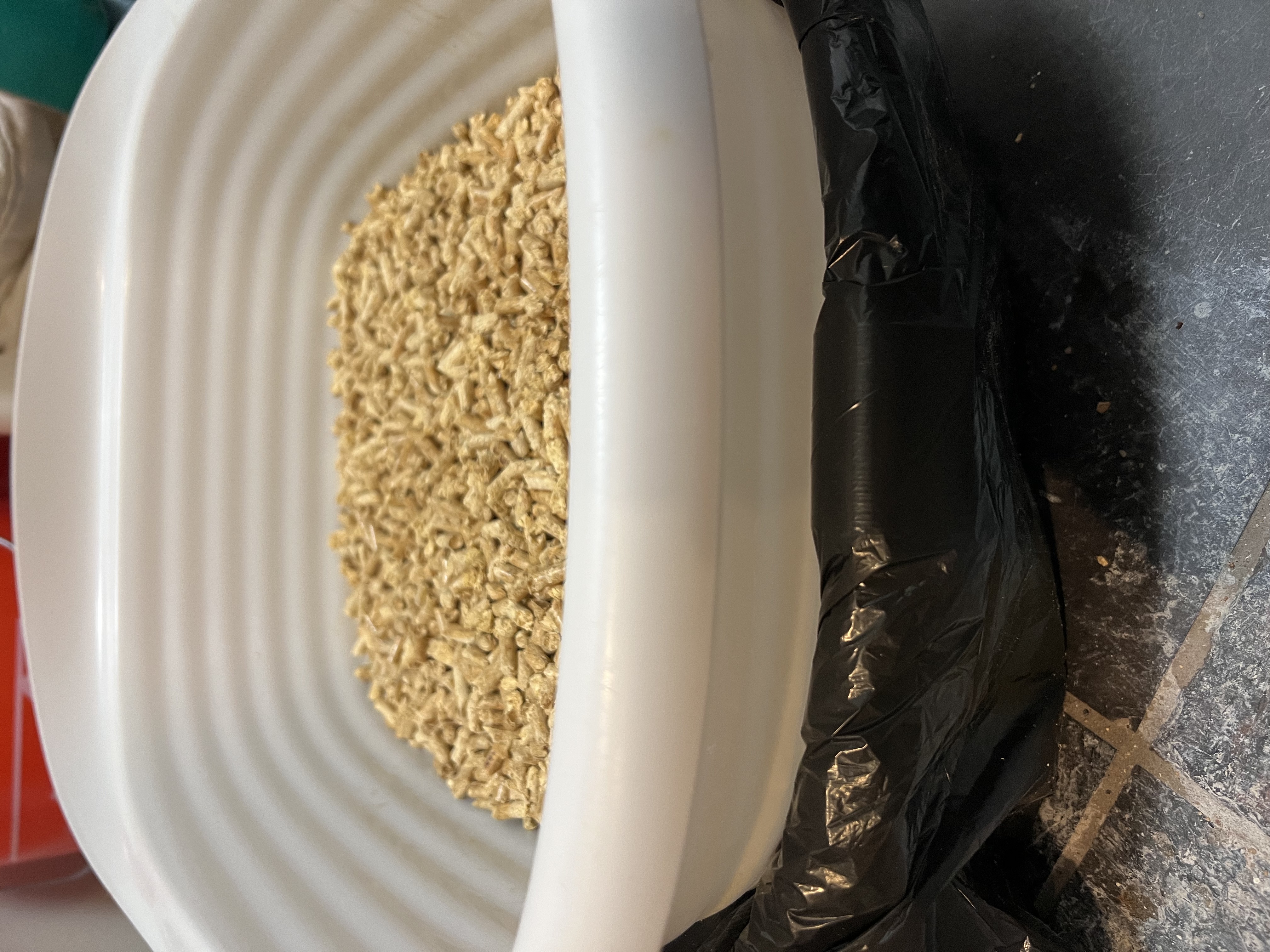Feline Pine Litter Box Hack