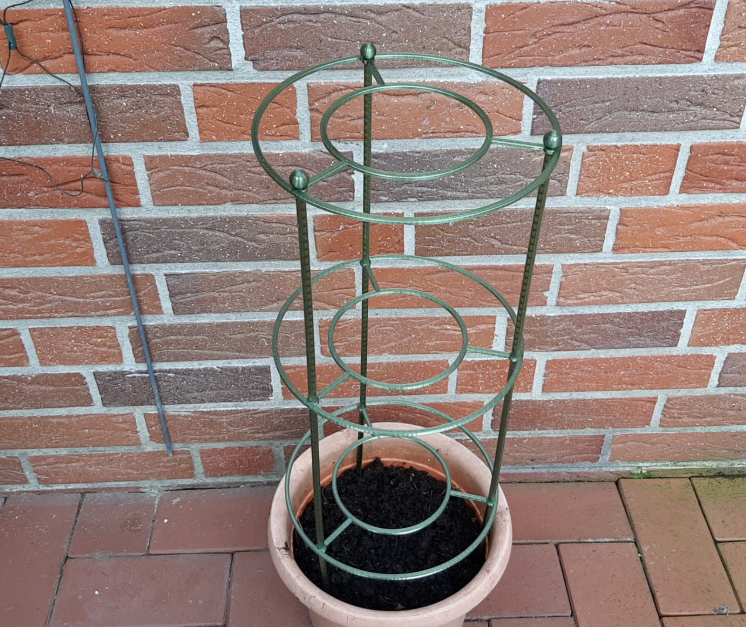 Plant Support bigger (screwed)