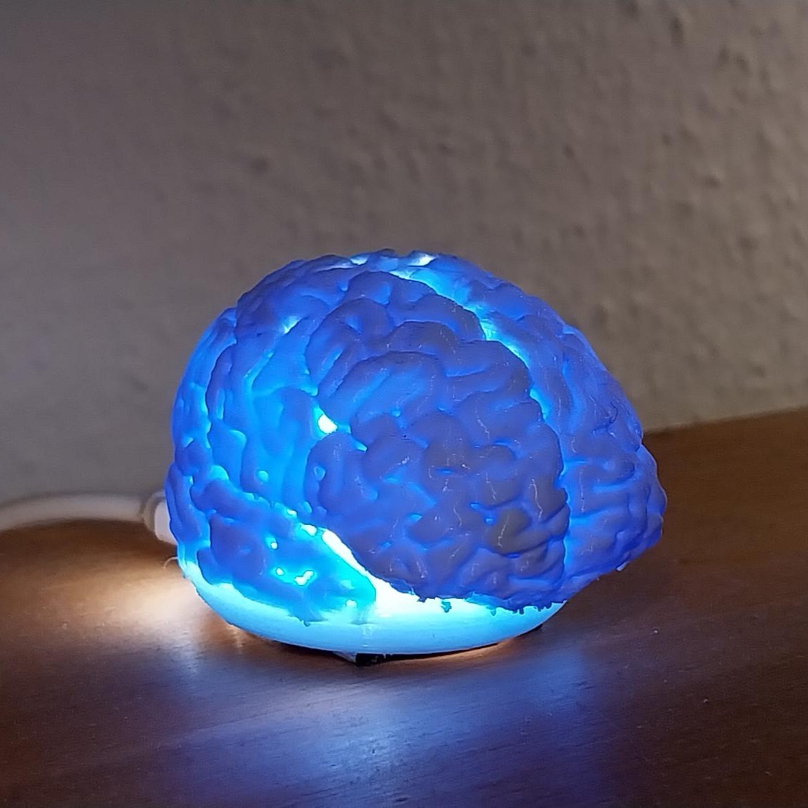 Concentration Brain Lamp Ikea Kapplake