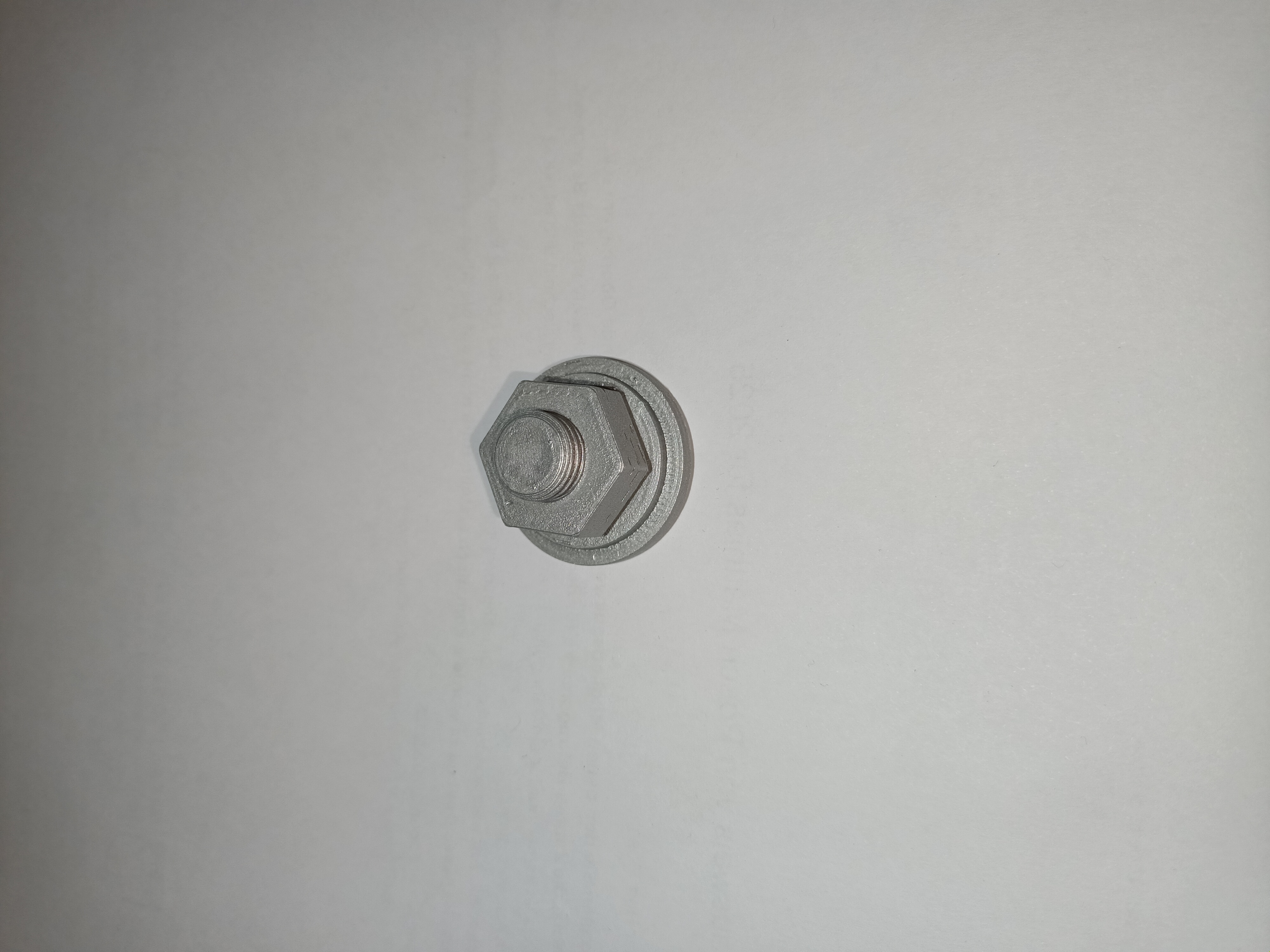 Geocache Fake Screw