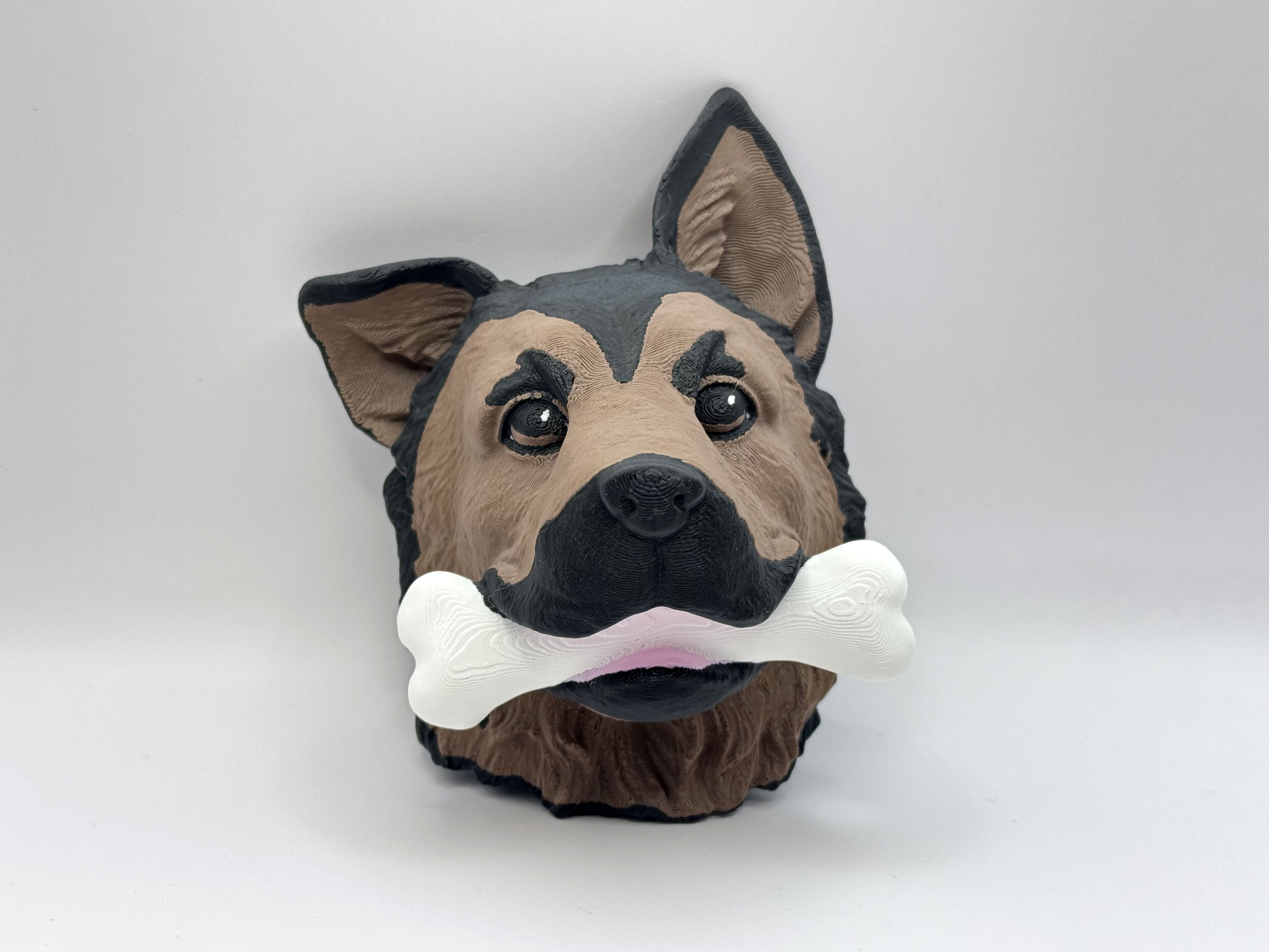 German Shepherd Dog