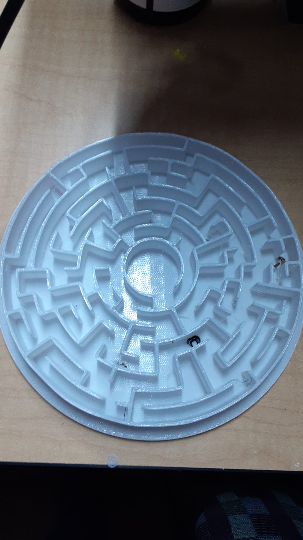 Shrimp Maze