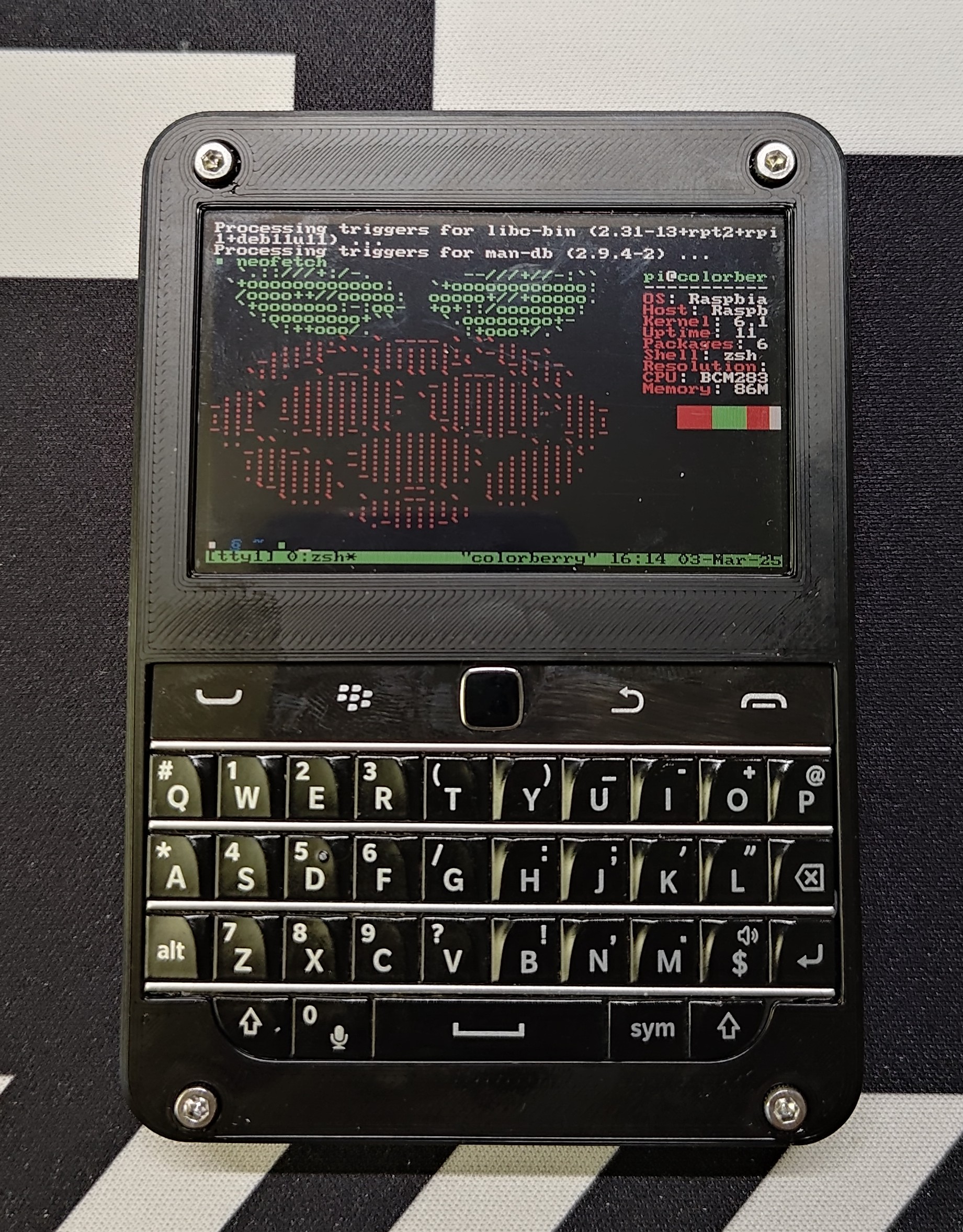 ColorBerry Case