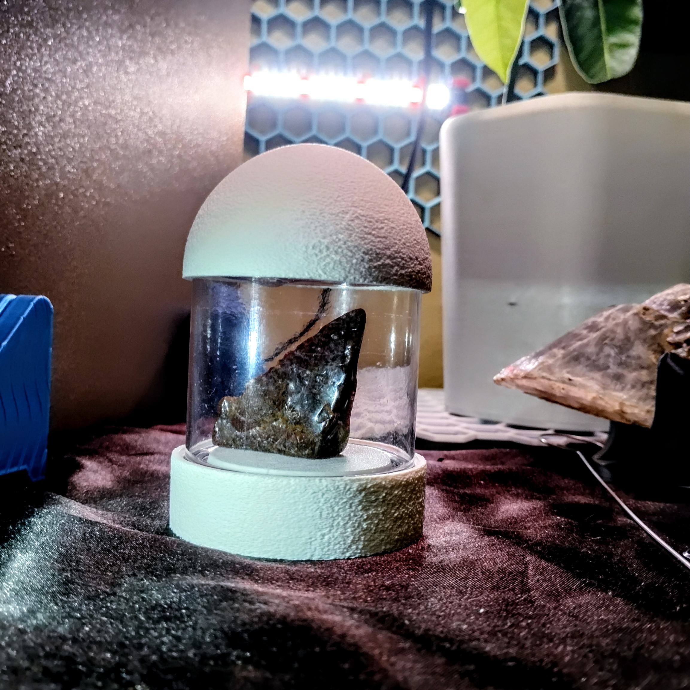 Display Capsule