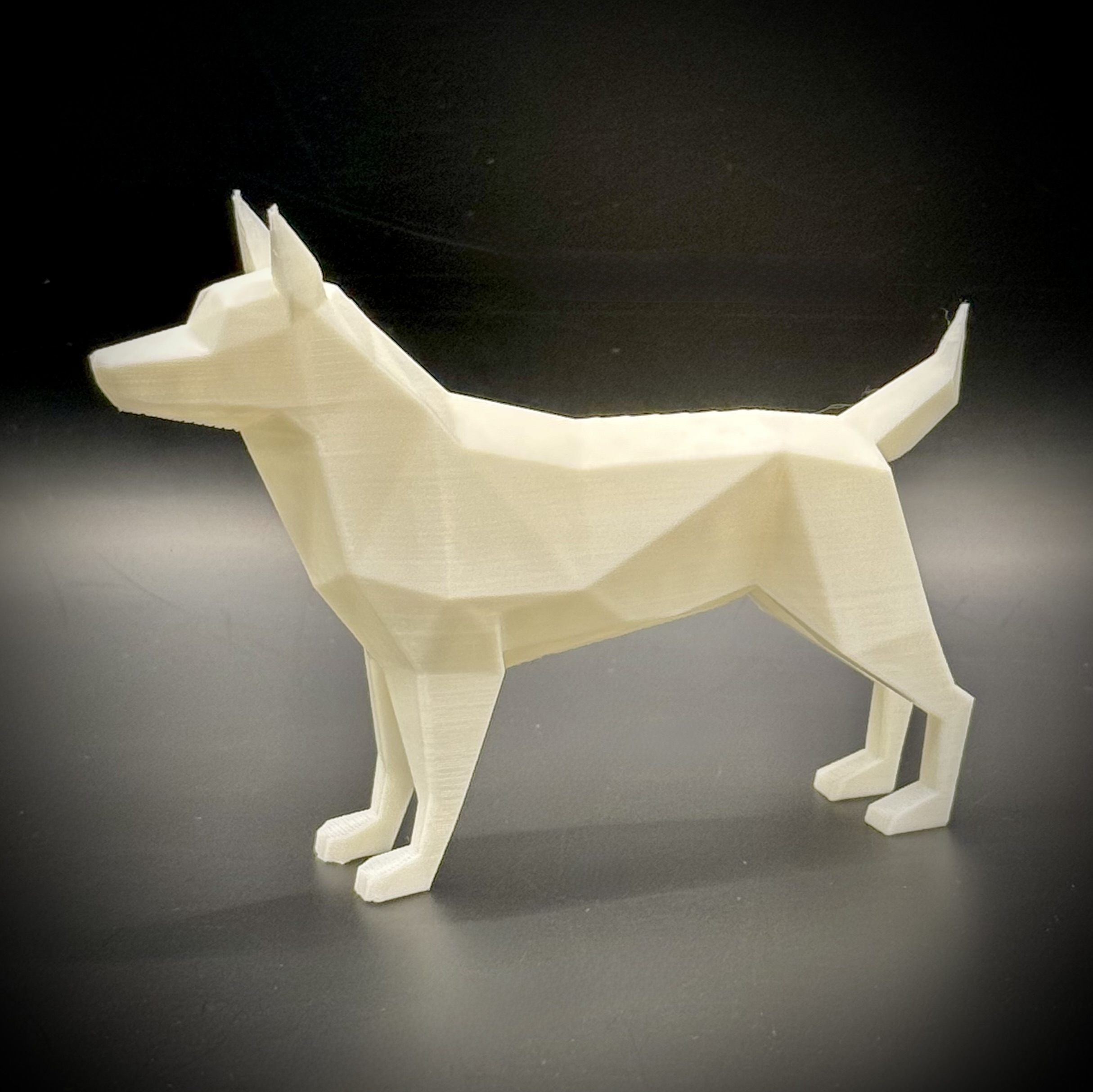 Minimalistic Dog Decor