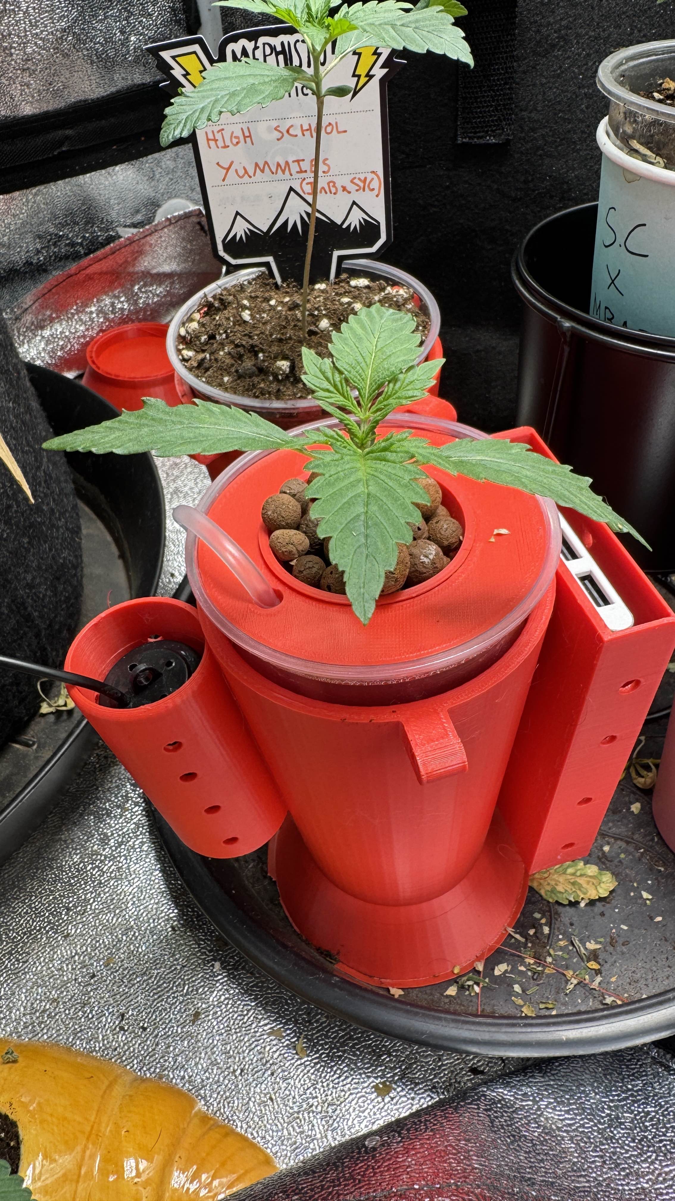 Solo cup DWC