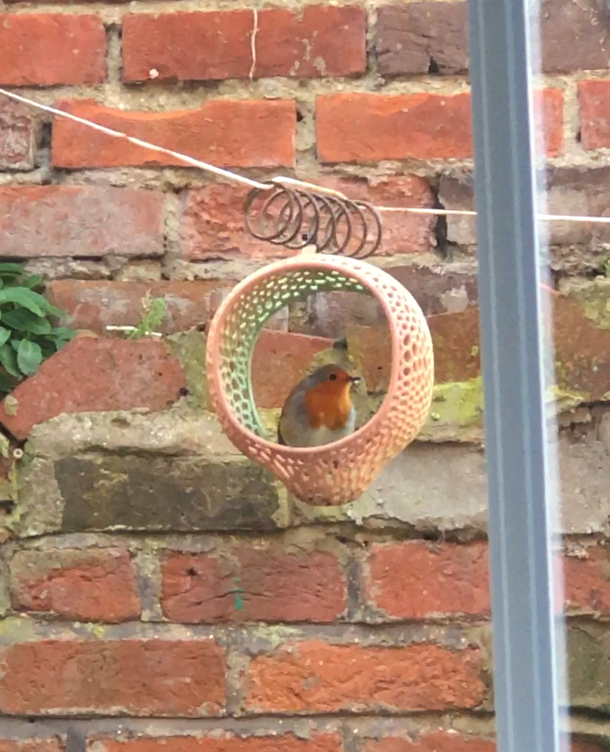 Bird feeder with Voronoi pattern
