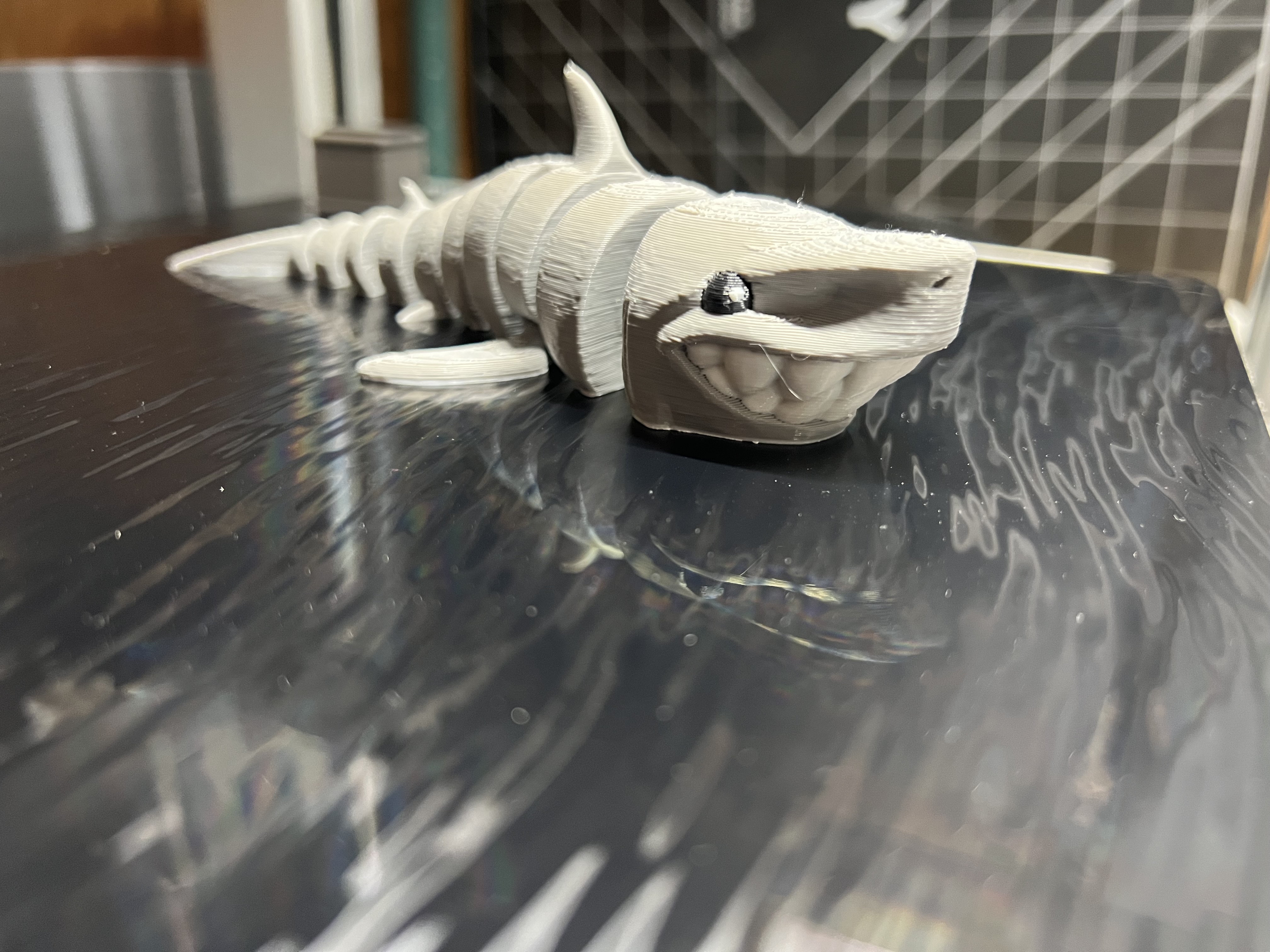 GARY THE GREAT WHITE SHARK