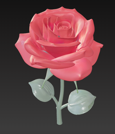 rosa, flower, rose