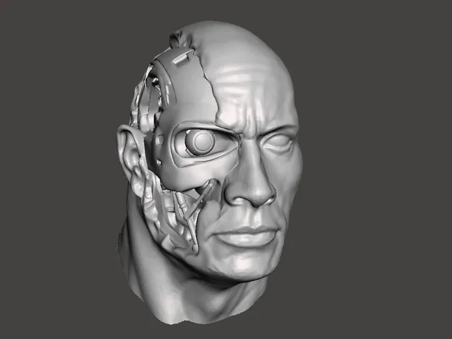 T-Rockhundret (T-800&TheRock)