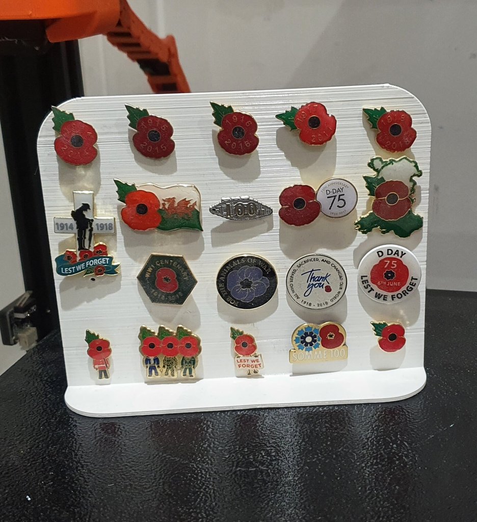 Pin Badge Display