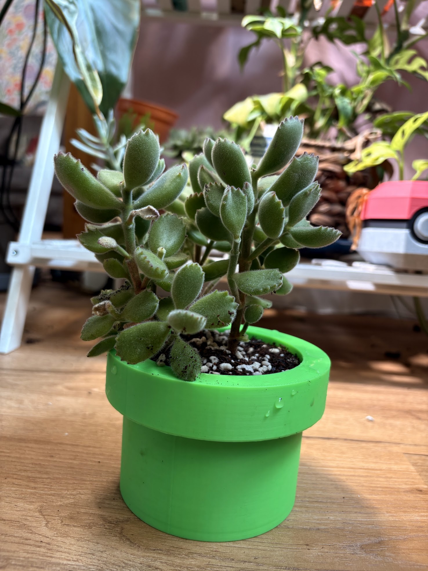 Mario Pipe Planter