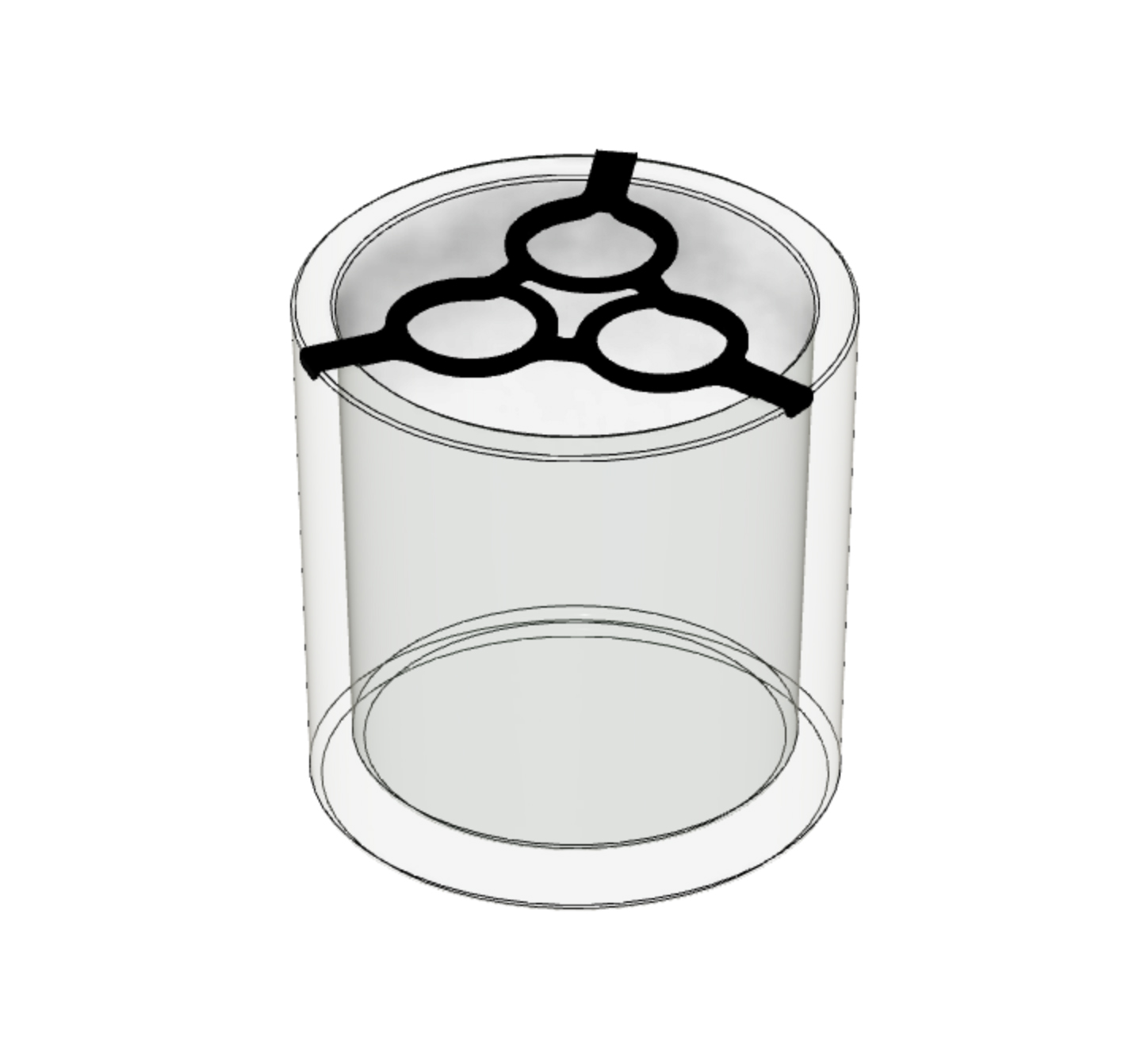 Mount for growing 3 Avocados in a Vase