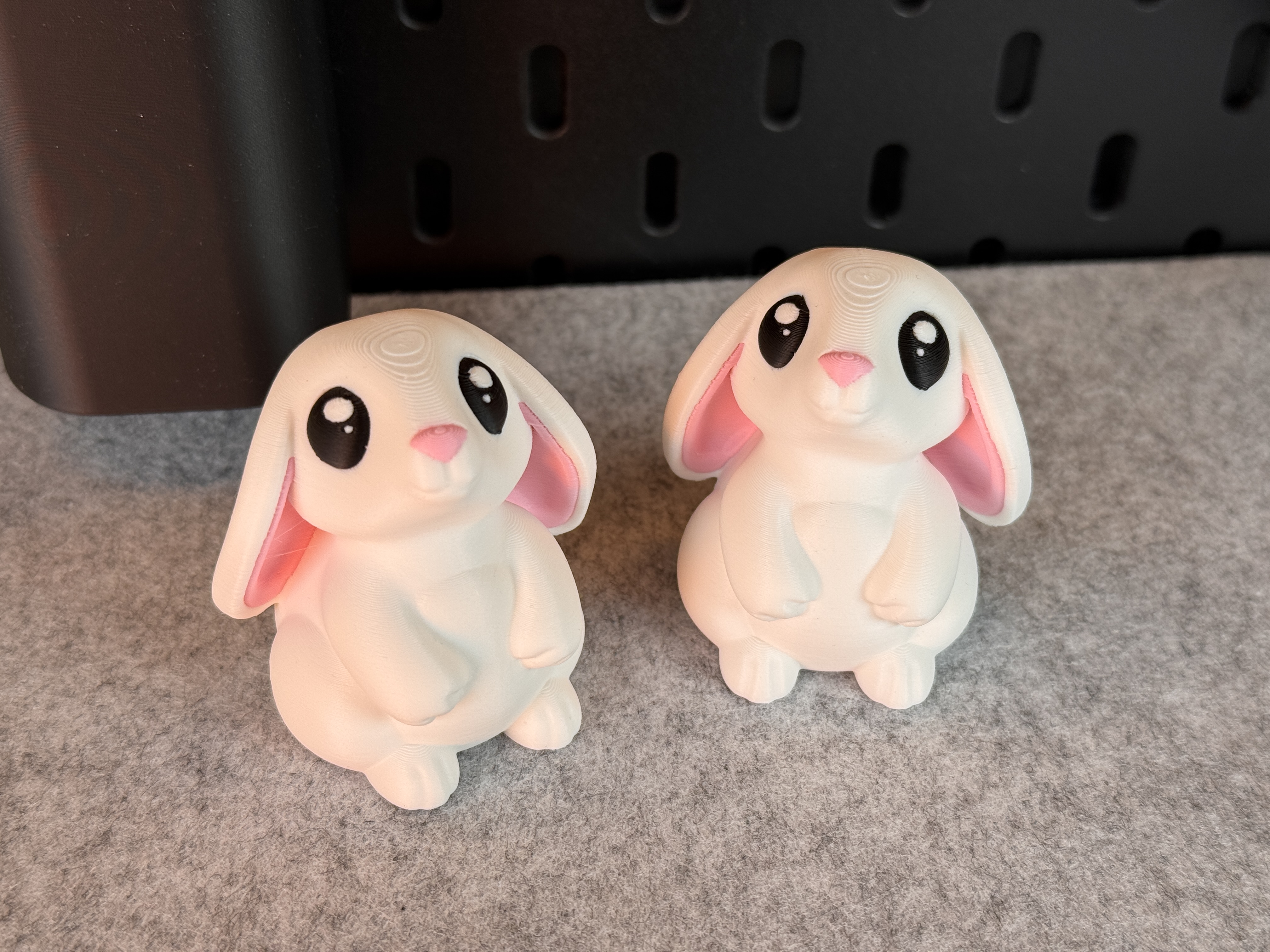 Cute Bunny