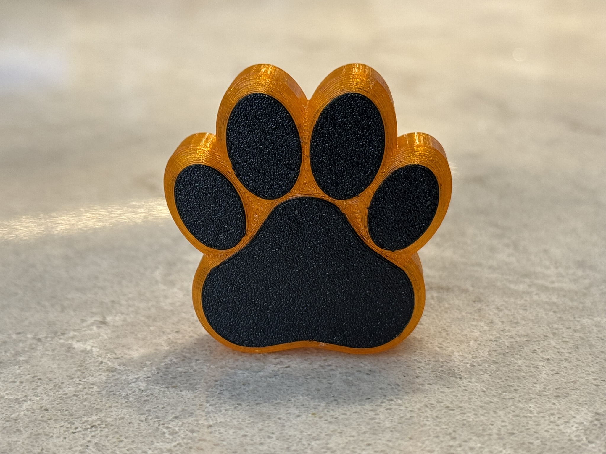 Paw print magnet (embedded)