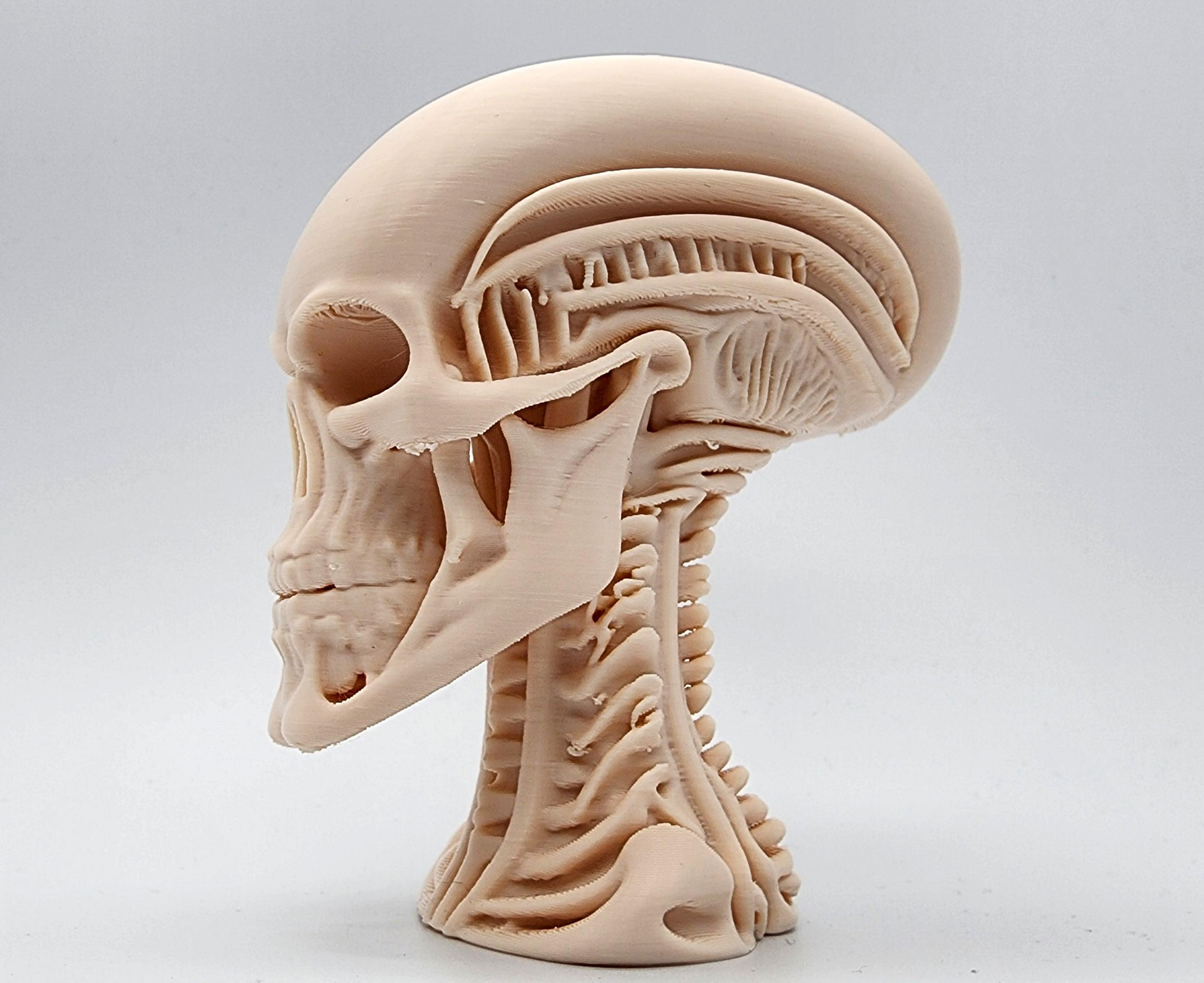 Miniatura 3 do modelo 3D Skeletal Alien Bust
