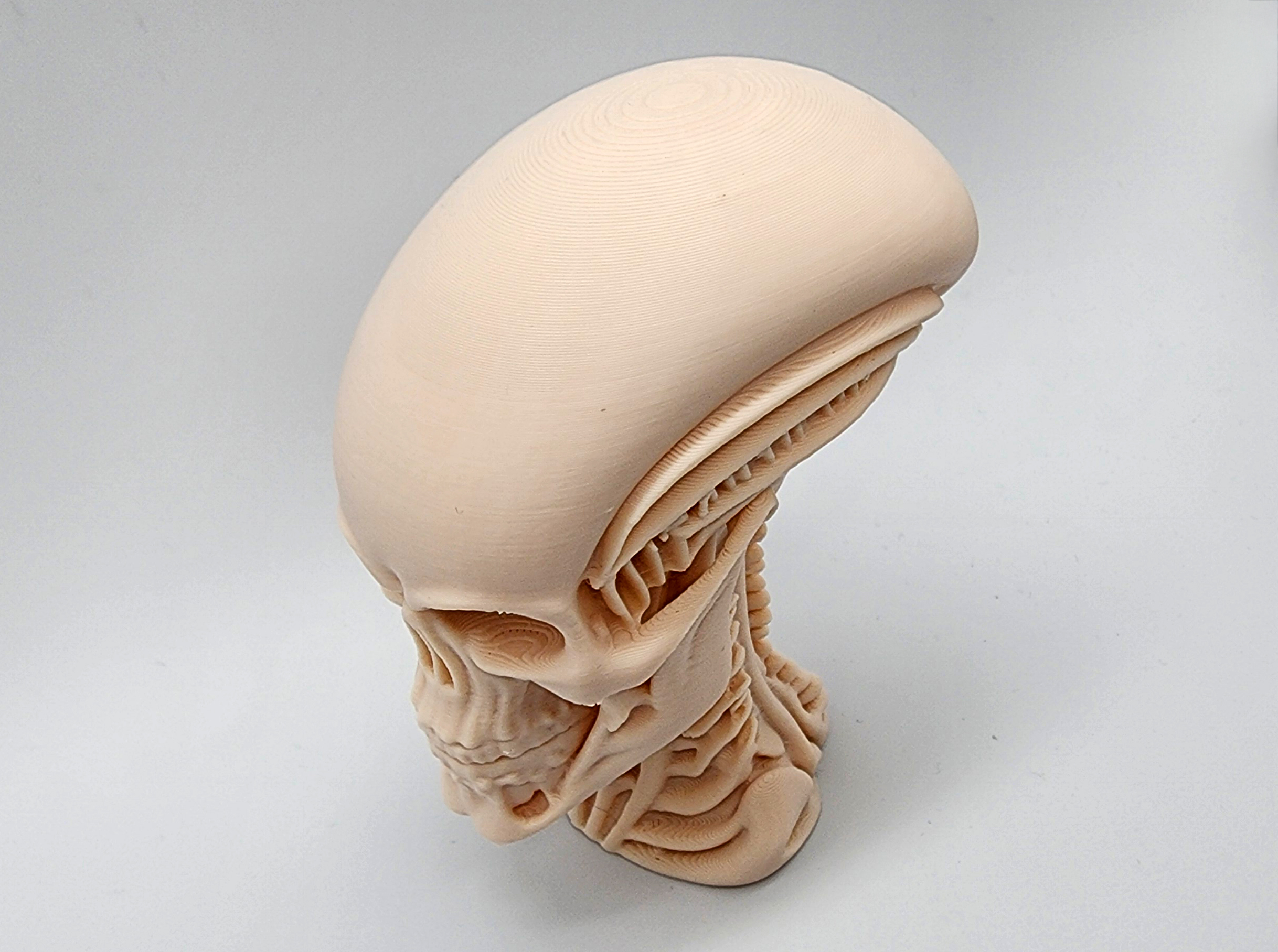 Miniatura 4 do modelo 3D Skeletal Alien Bust