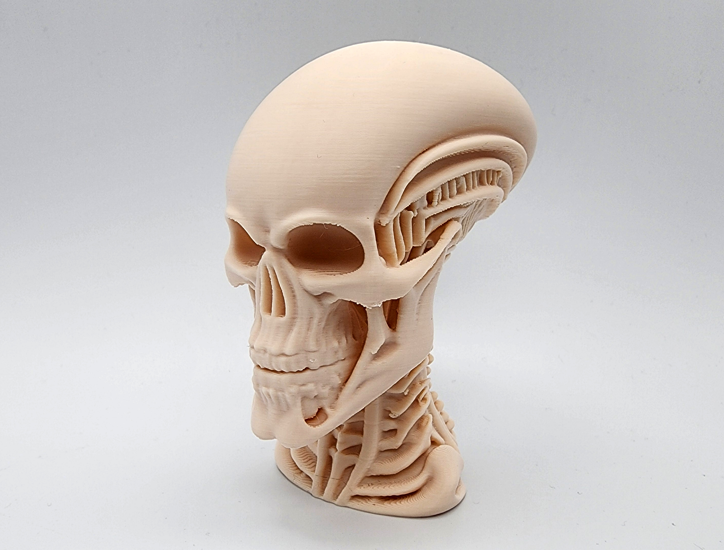 Miniatura 2 do modelo 3D Skeletal Alien Bust