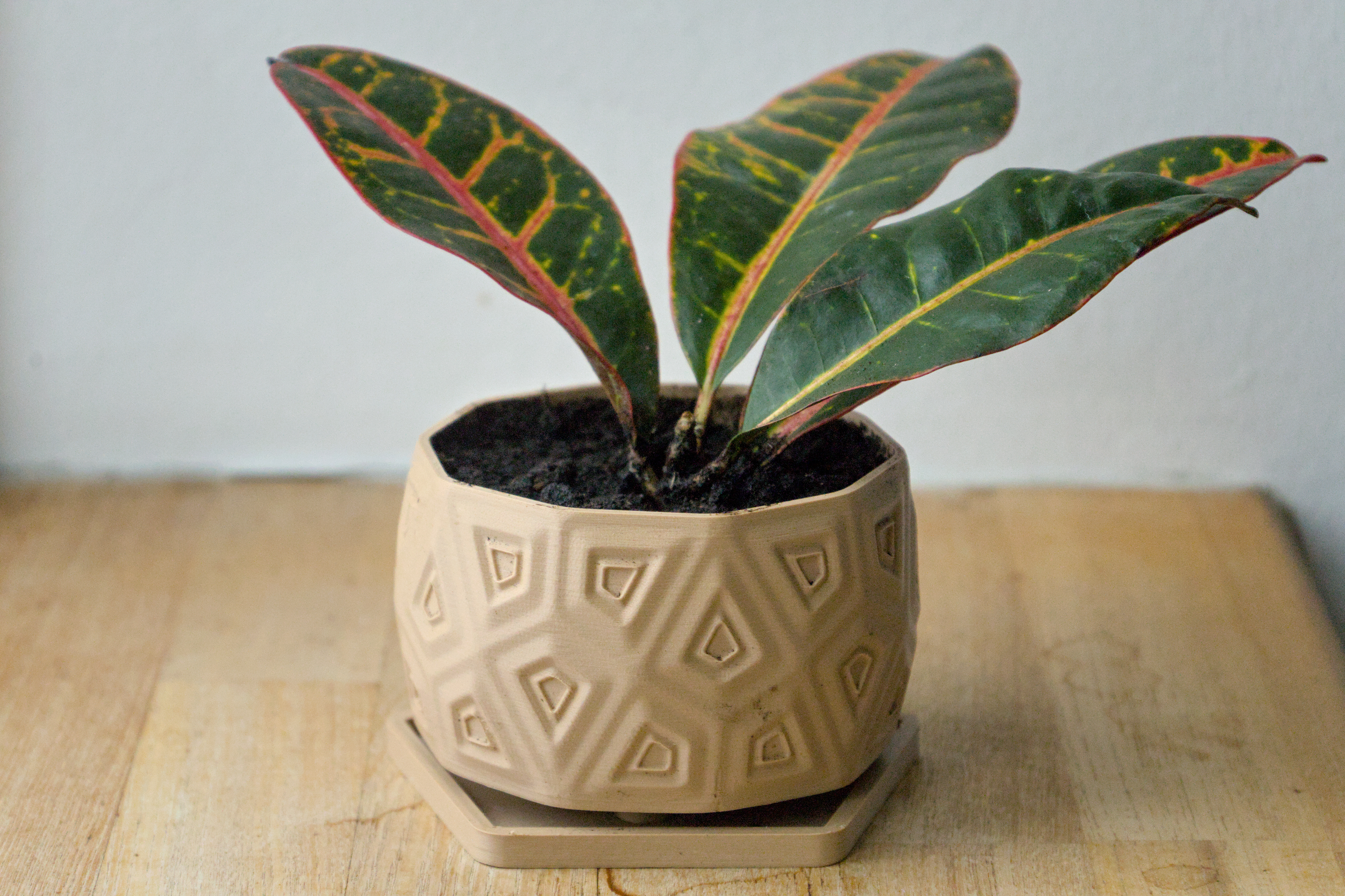Pot 25