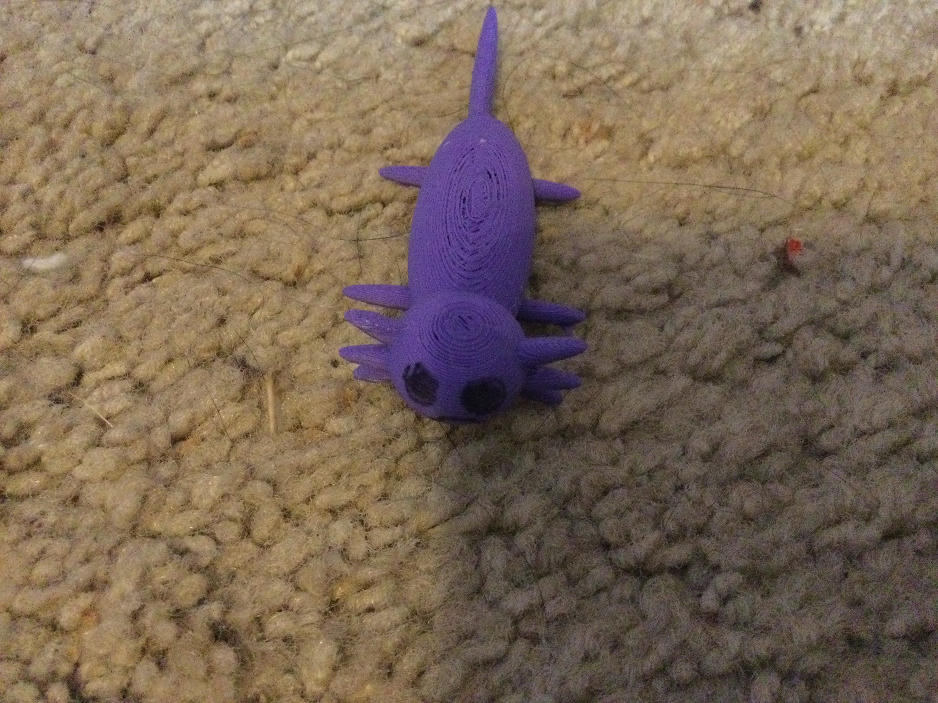 Axolotl