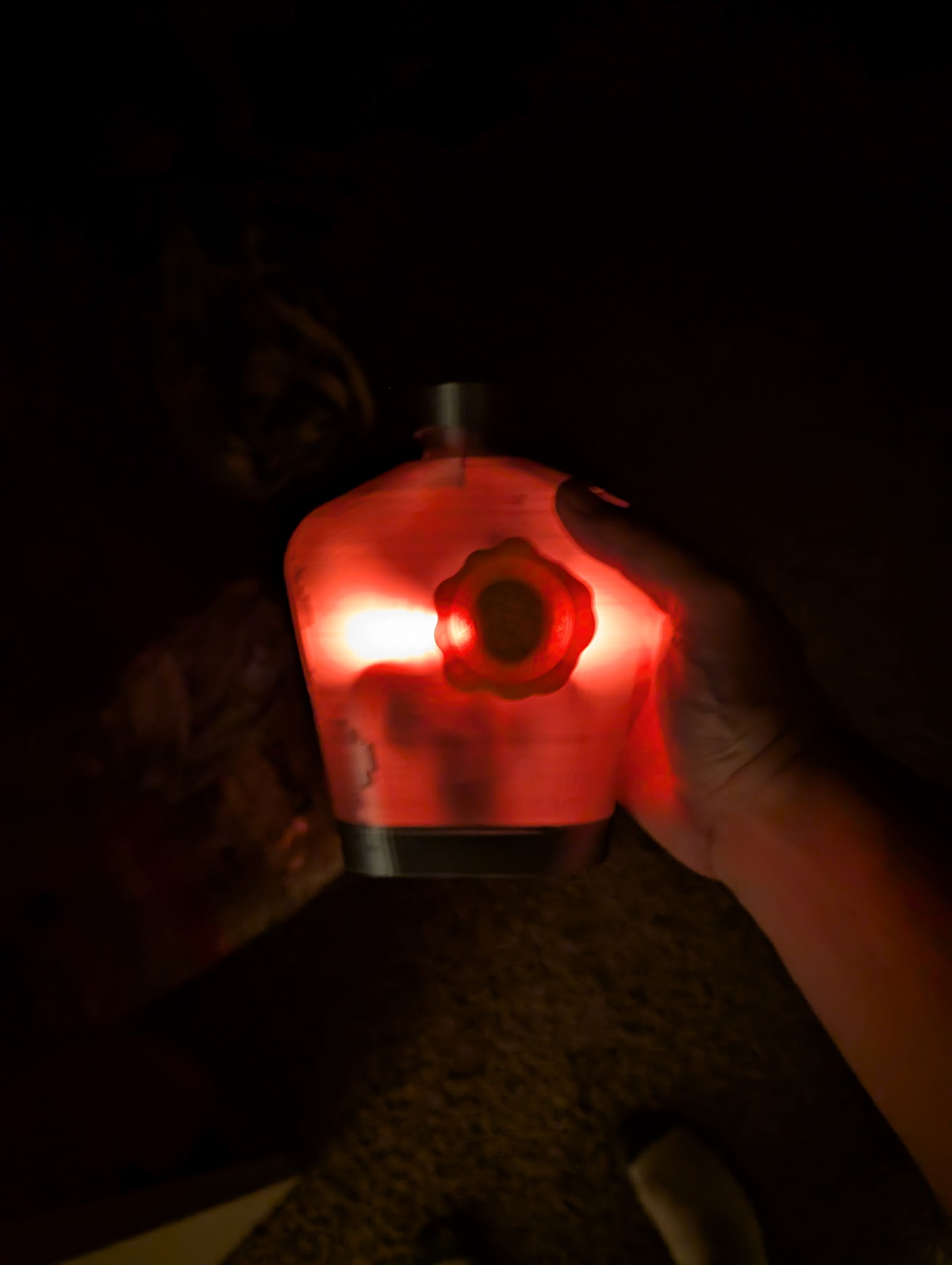 Sealed Dragon Bottle — miniatura 2