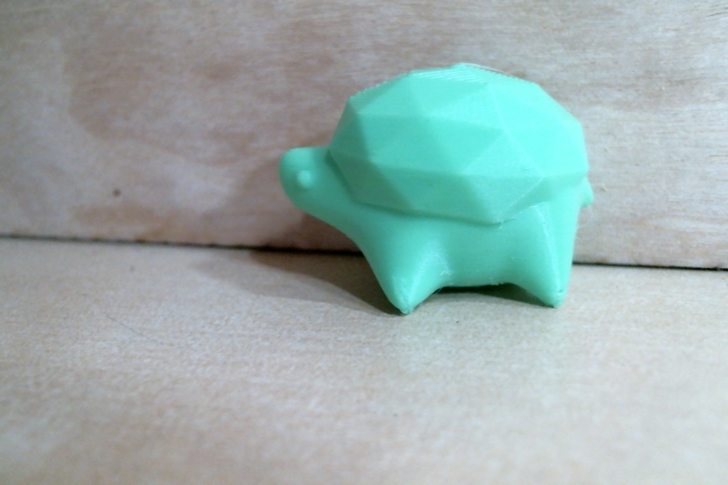Miniatura 3 do modelo 3D Bumpy The Turtle