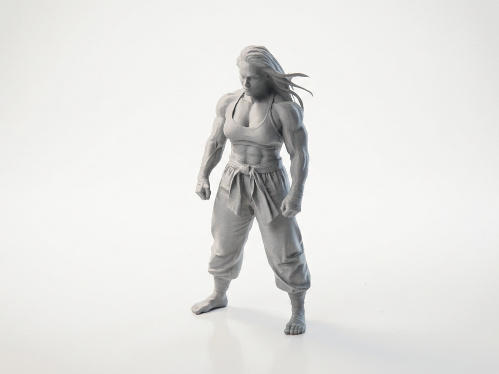 Superstrong Lady Fighter Figurine 3D Printable