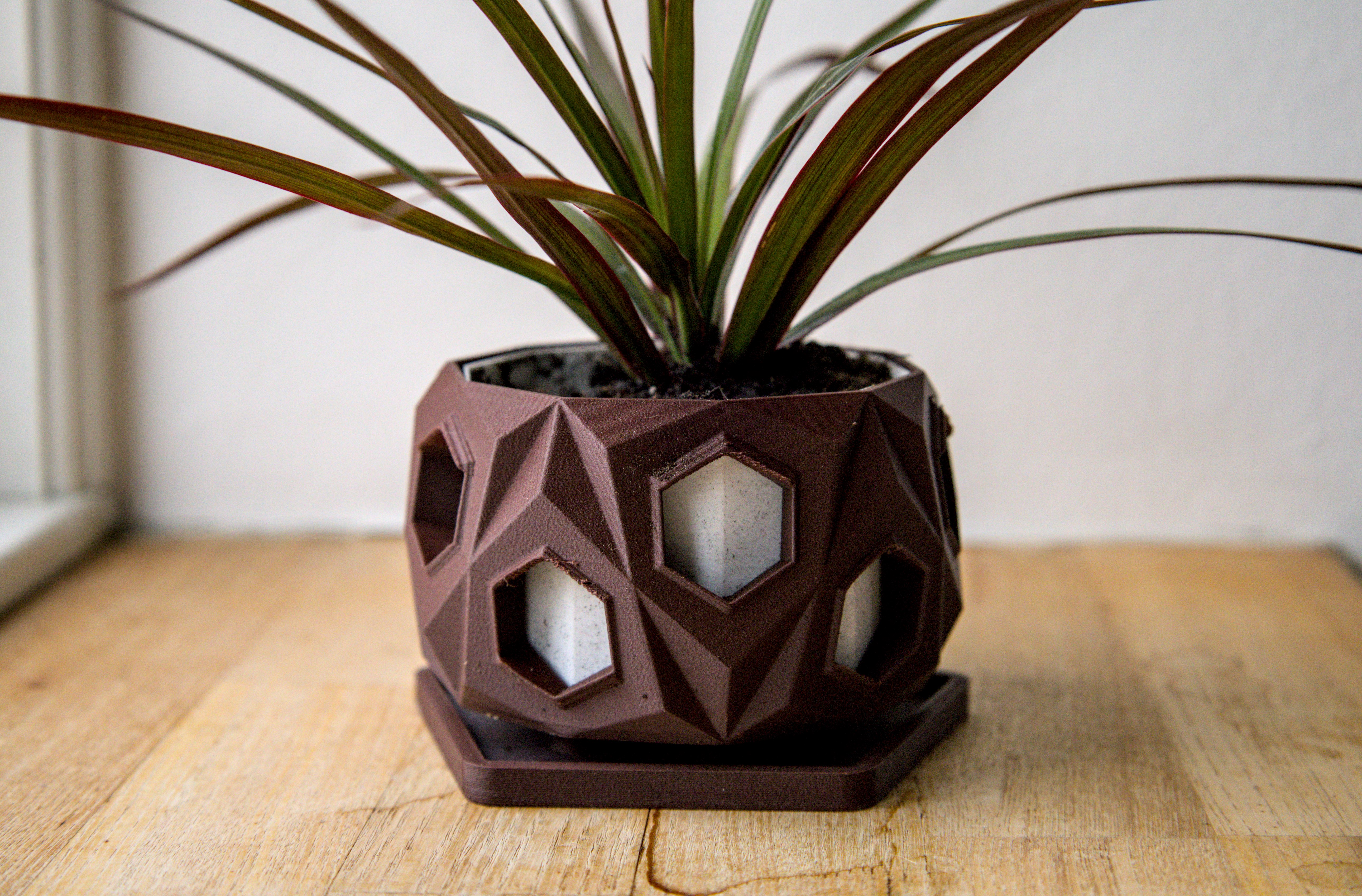 Pot 26