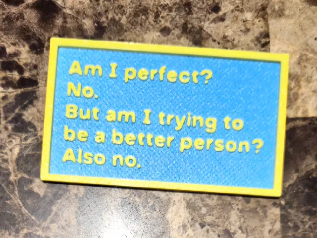 "Am I Perfect?" Funny Sign
