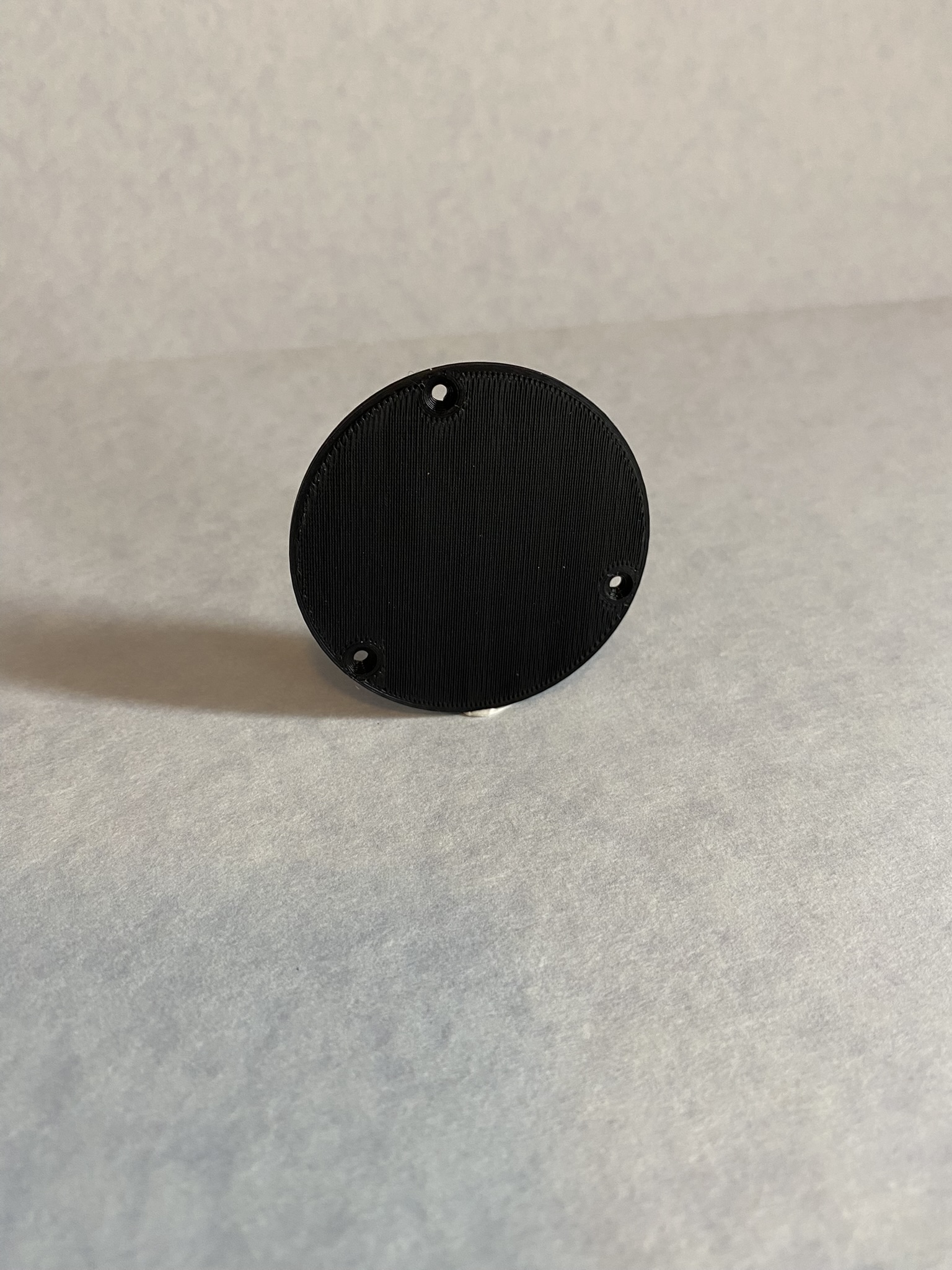 Switch Plate Cover - Les Paul Body Style