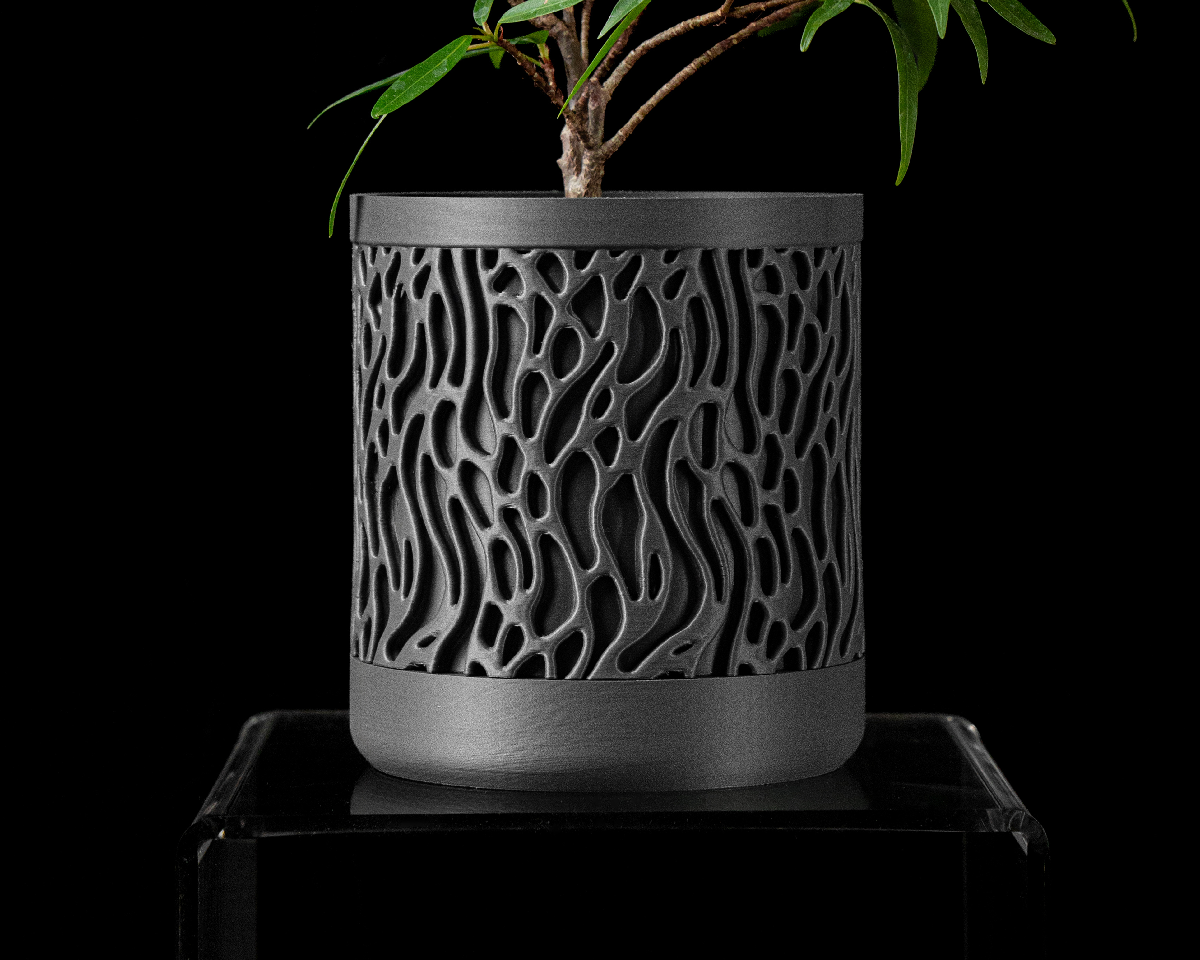 Grove Planter w/Wall Attachment by MODERN MACHINE