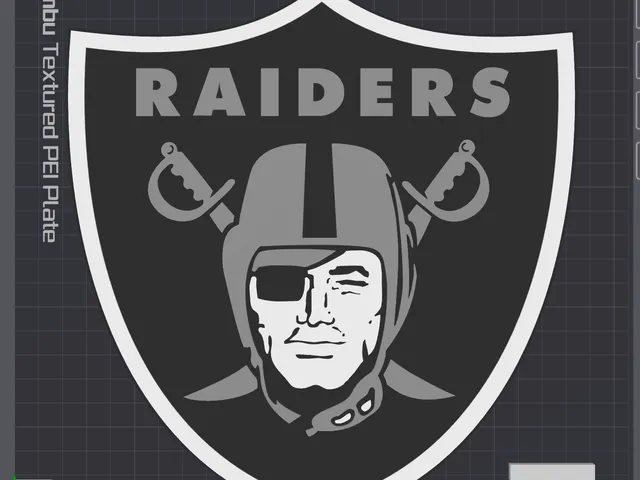 Las Vegas Raiders Oversized Necklace Logo