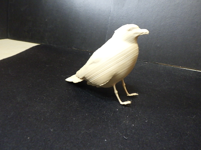 Seagull — miniatura 3