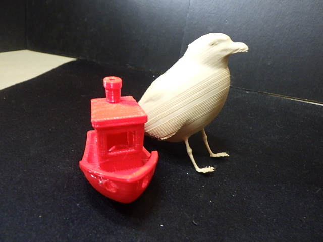 Seagull — miniatura 4