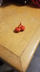 Double Cherries