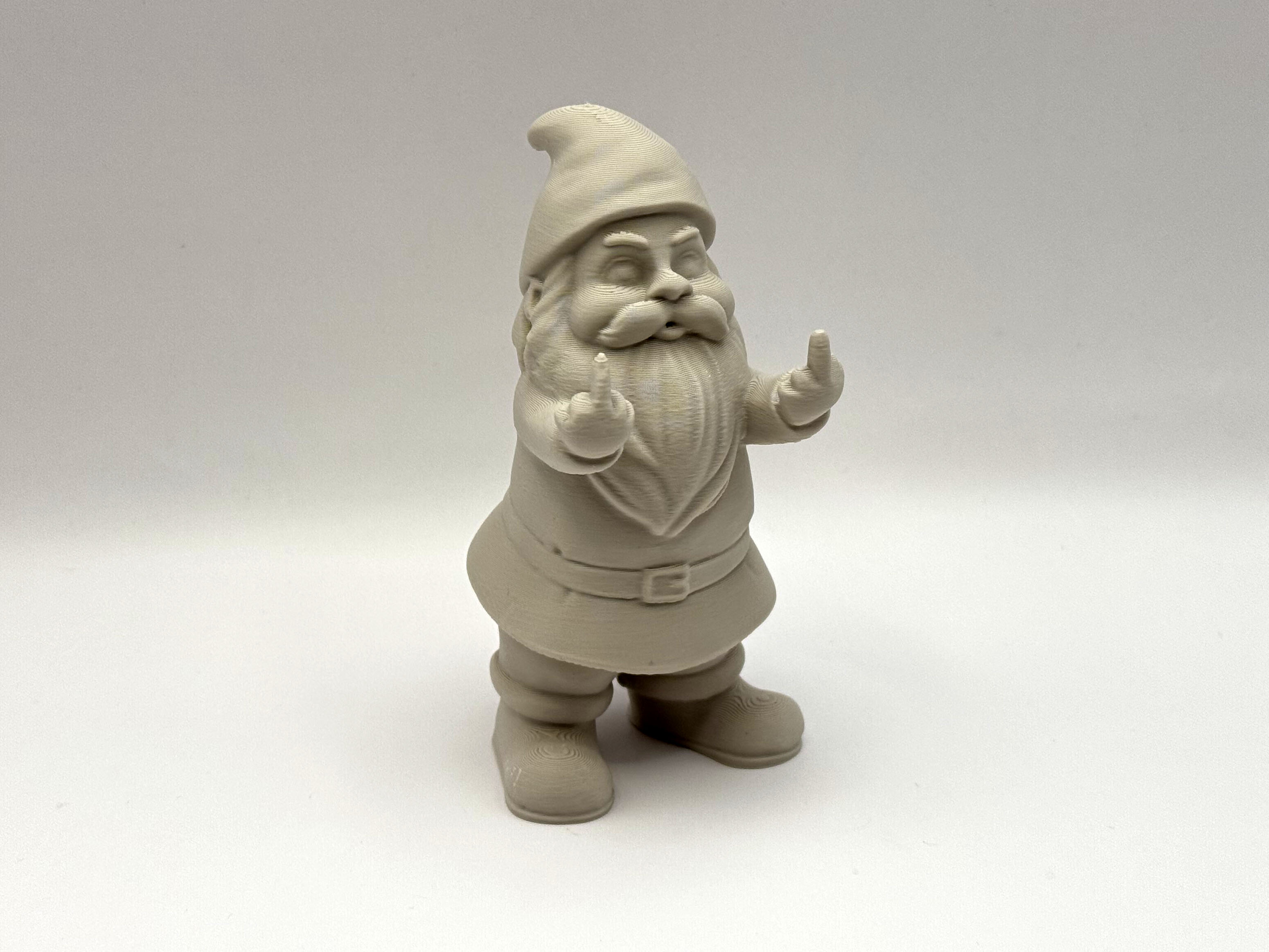 Grumpy Gnome with Attitude