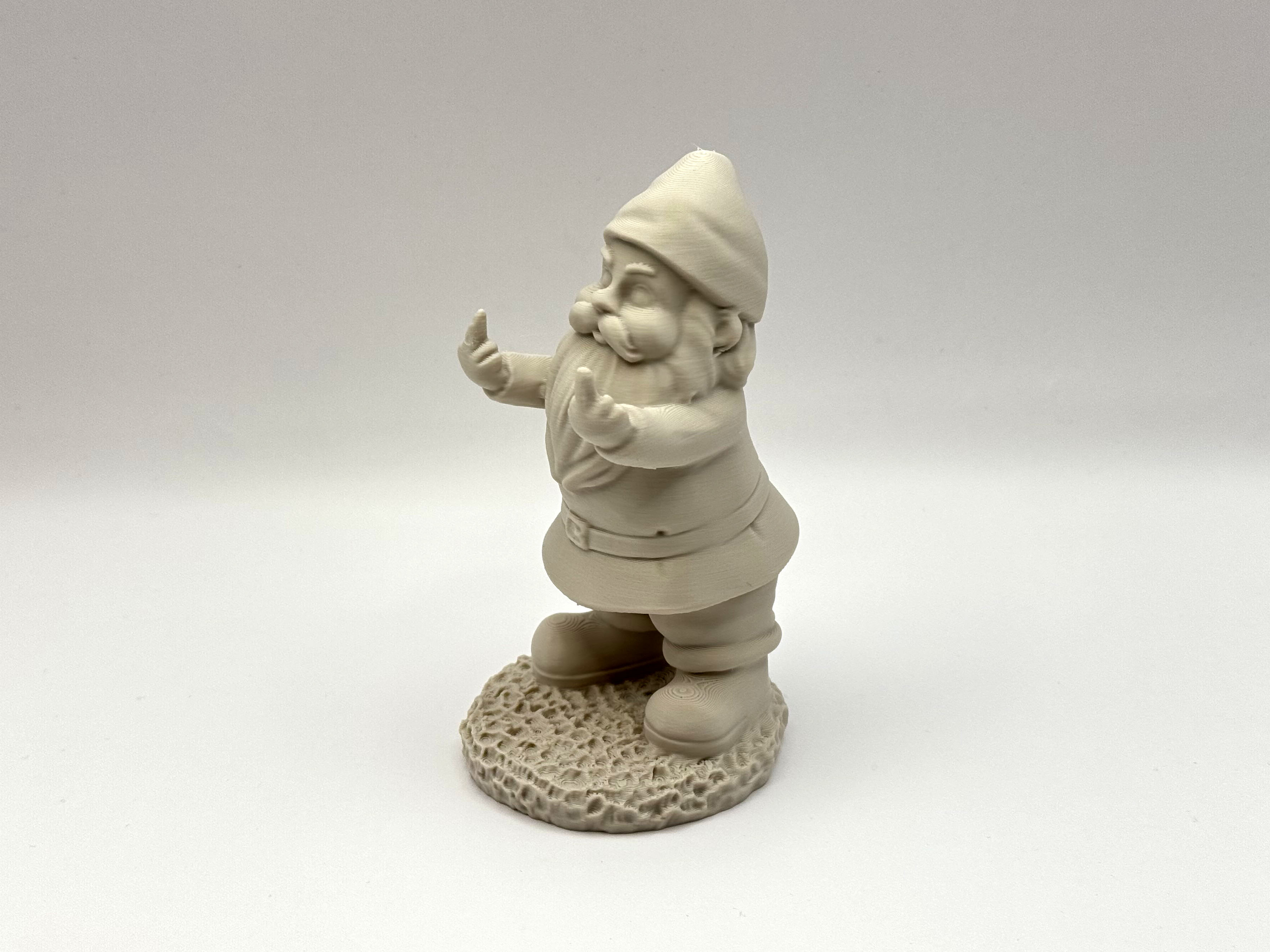 Grumpy Gnome with Attitude — thumbnail 2