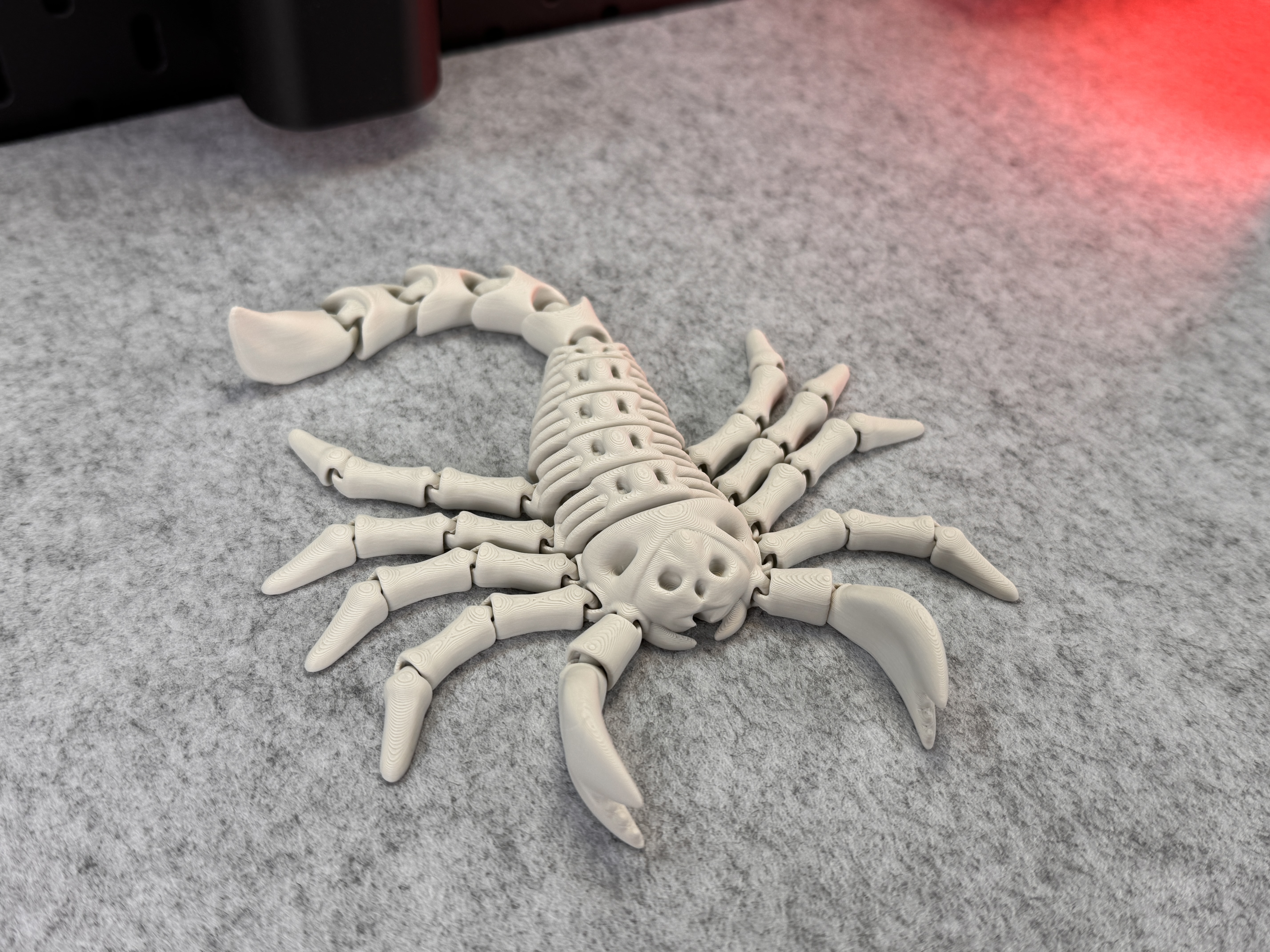 Miniatura 8 do modelo 3D Flexi Skeleton Scorpion