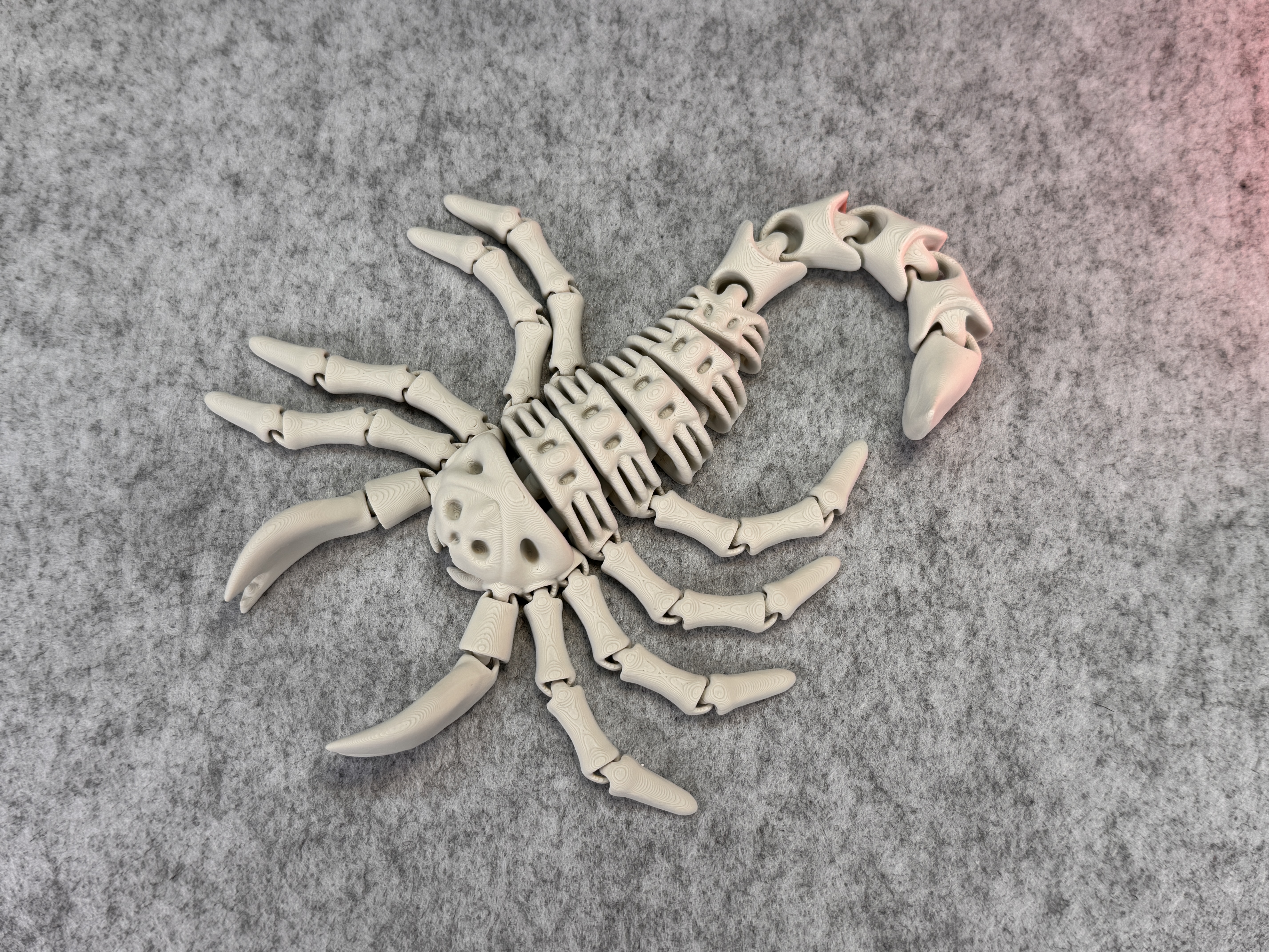Miniatura 7 do modelo 3D Flexi Skeleton Scorpion