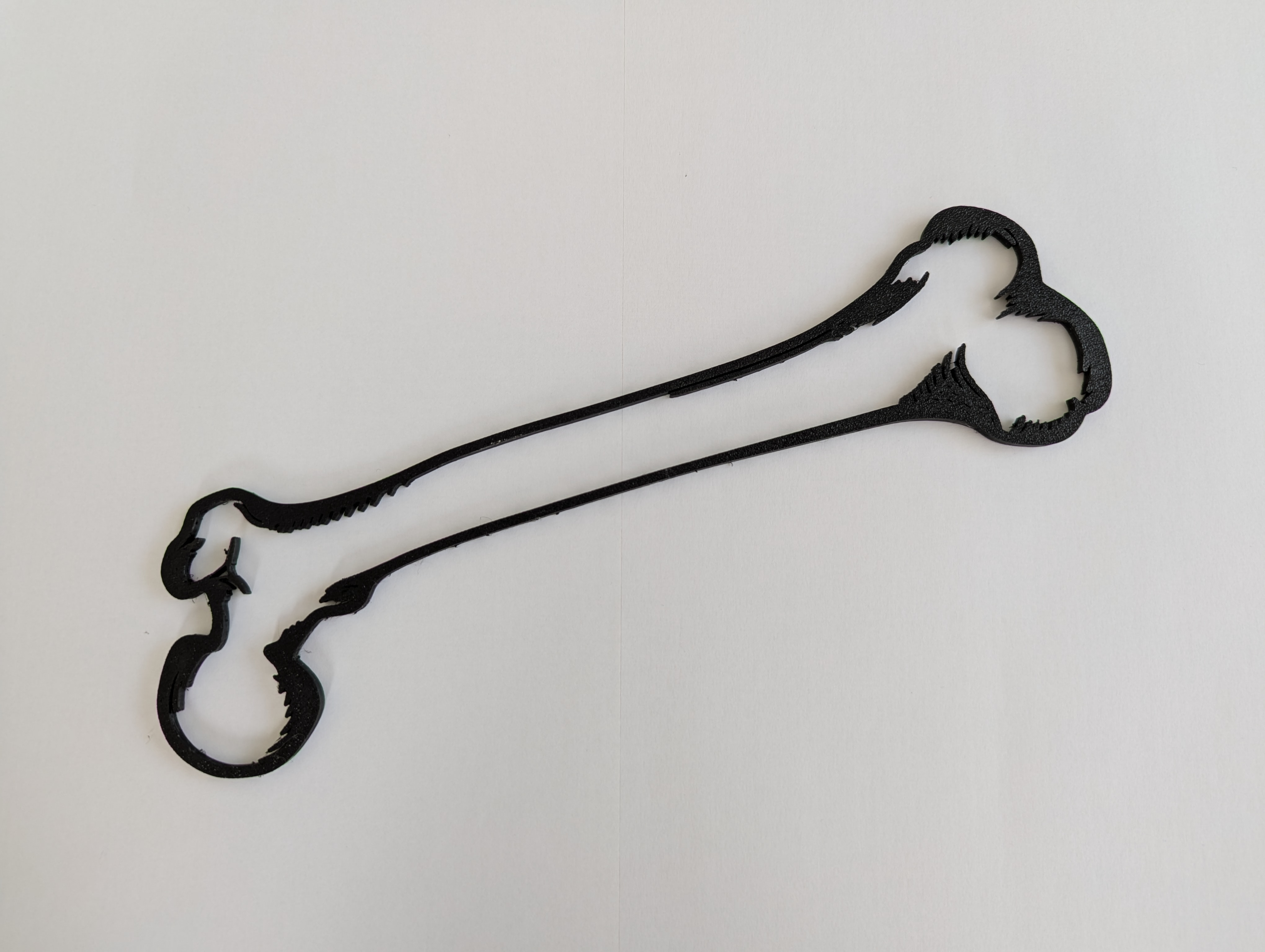 Human Femur Outline Model