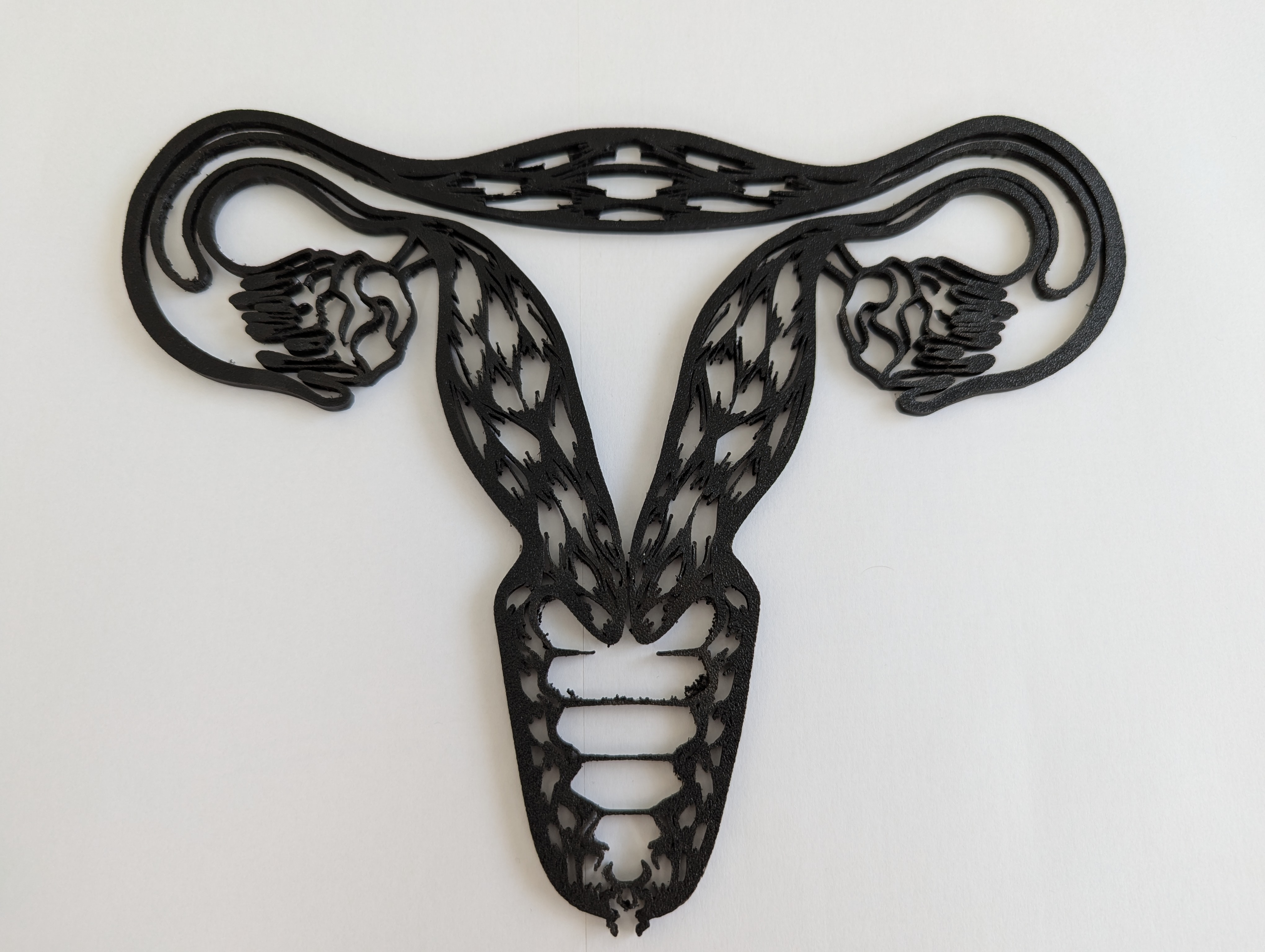 Human Uterus Outline Model