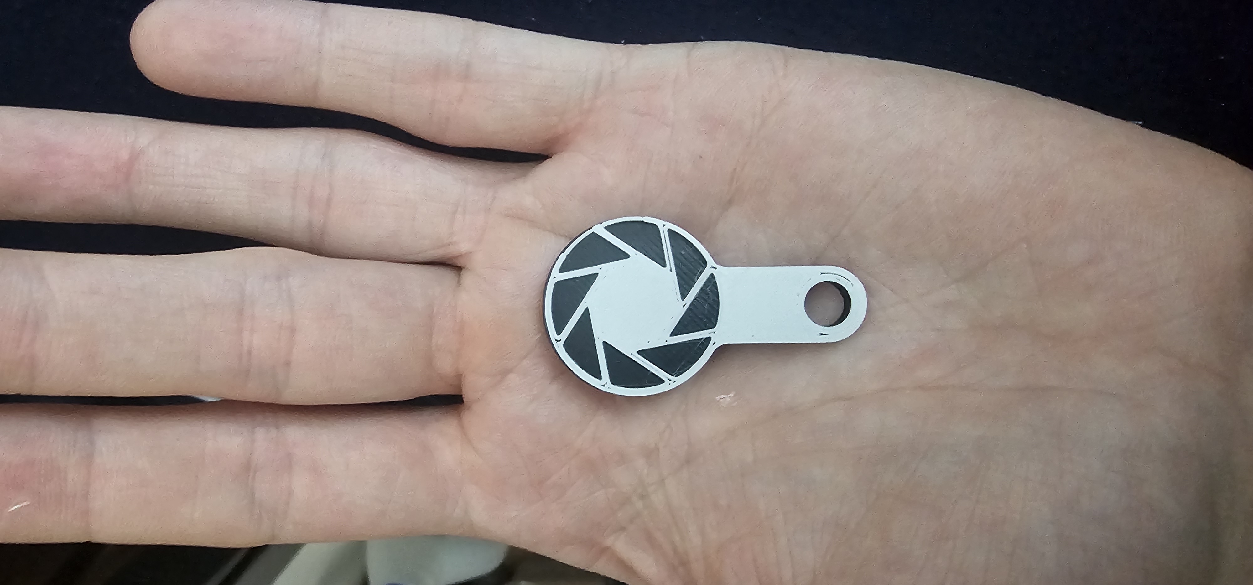 Aperture Science Shopping Cart Key