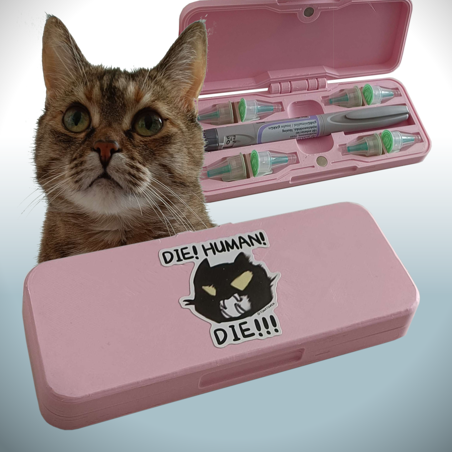 Insulin pen case