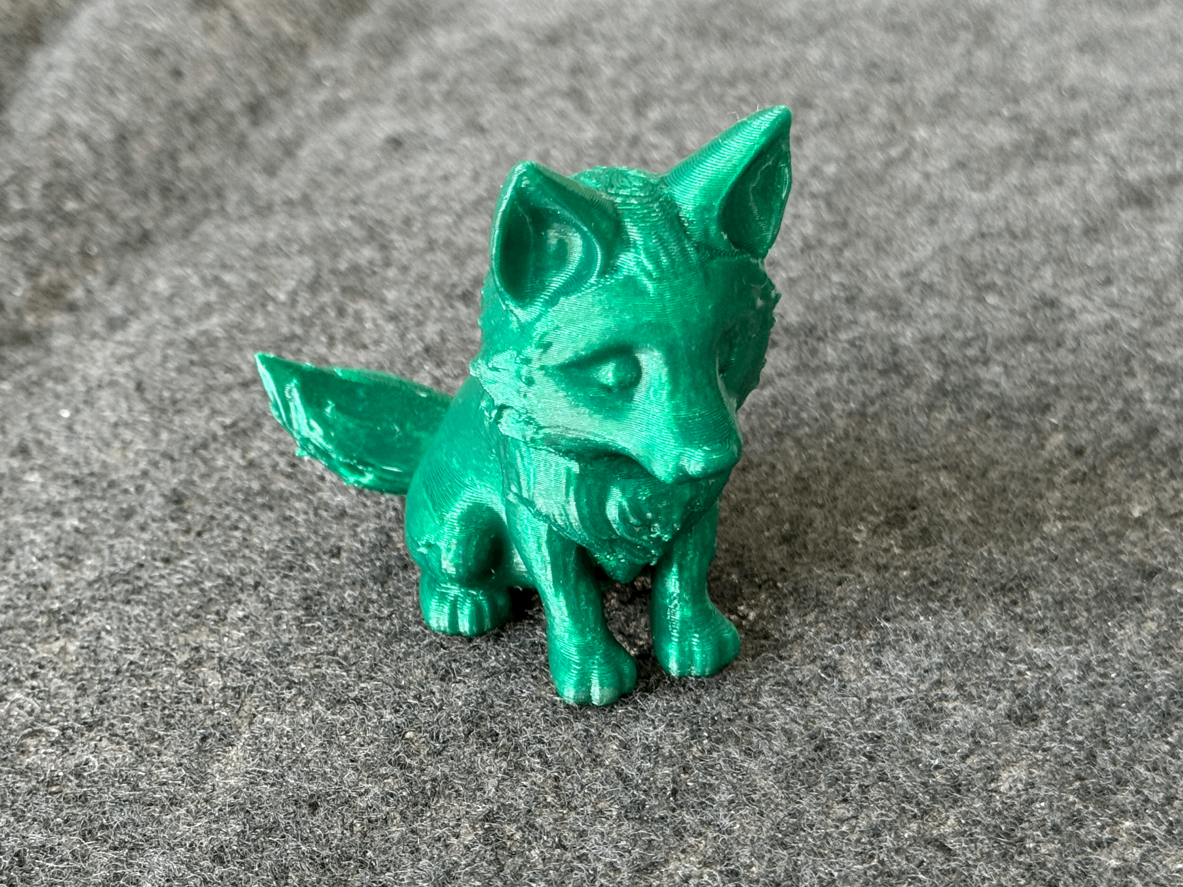 Cute Sitting Wolf Puppy