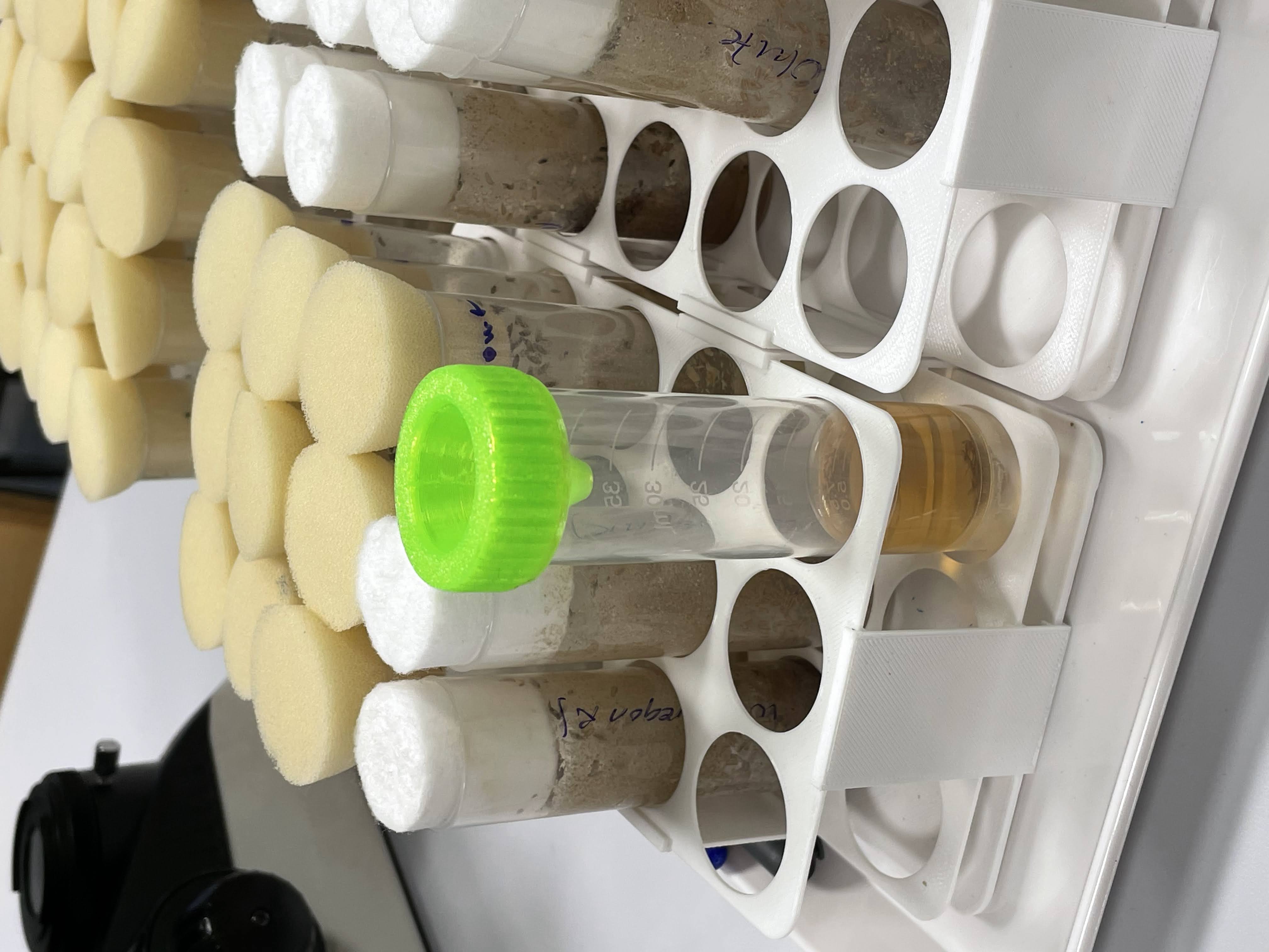 Fruitfly trap, fits 50 ml Falcon tube
