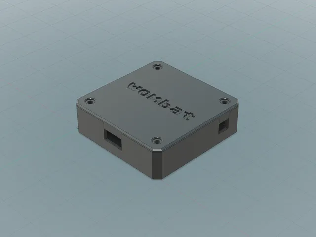 Wombat ADB Adapter Case