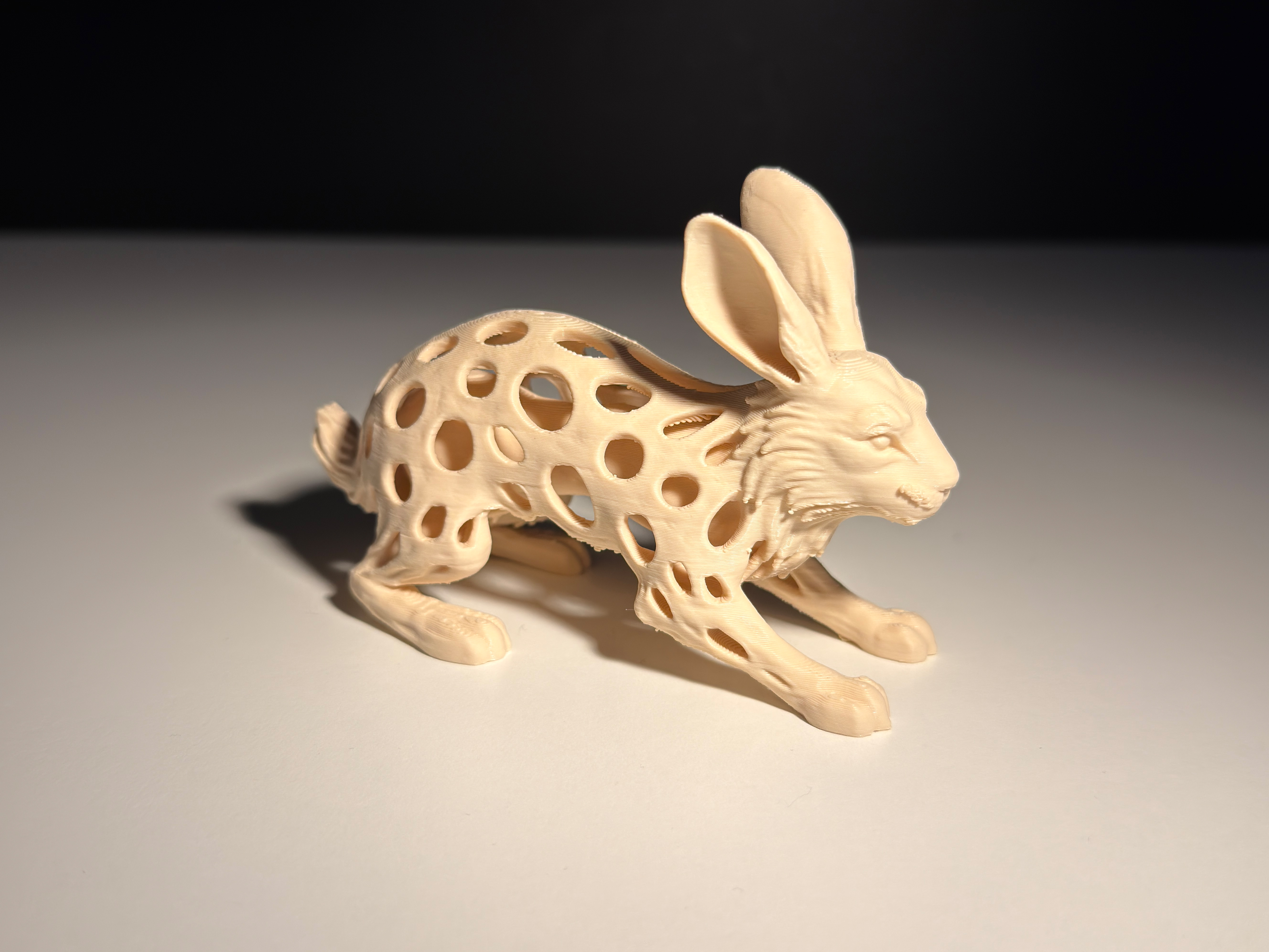 Rabbit
